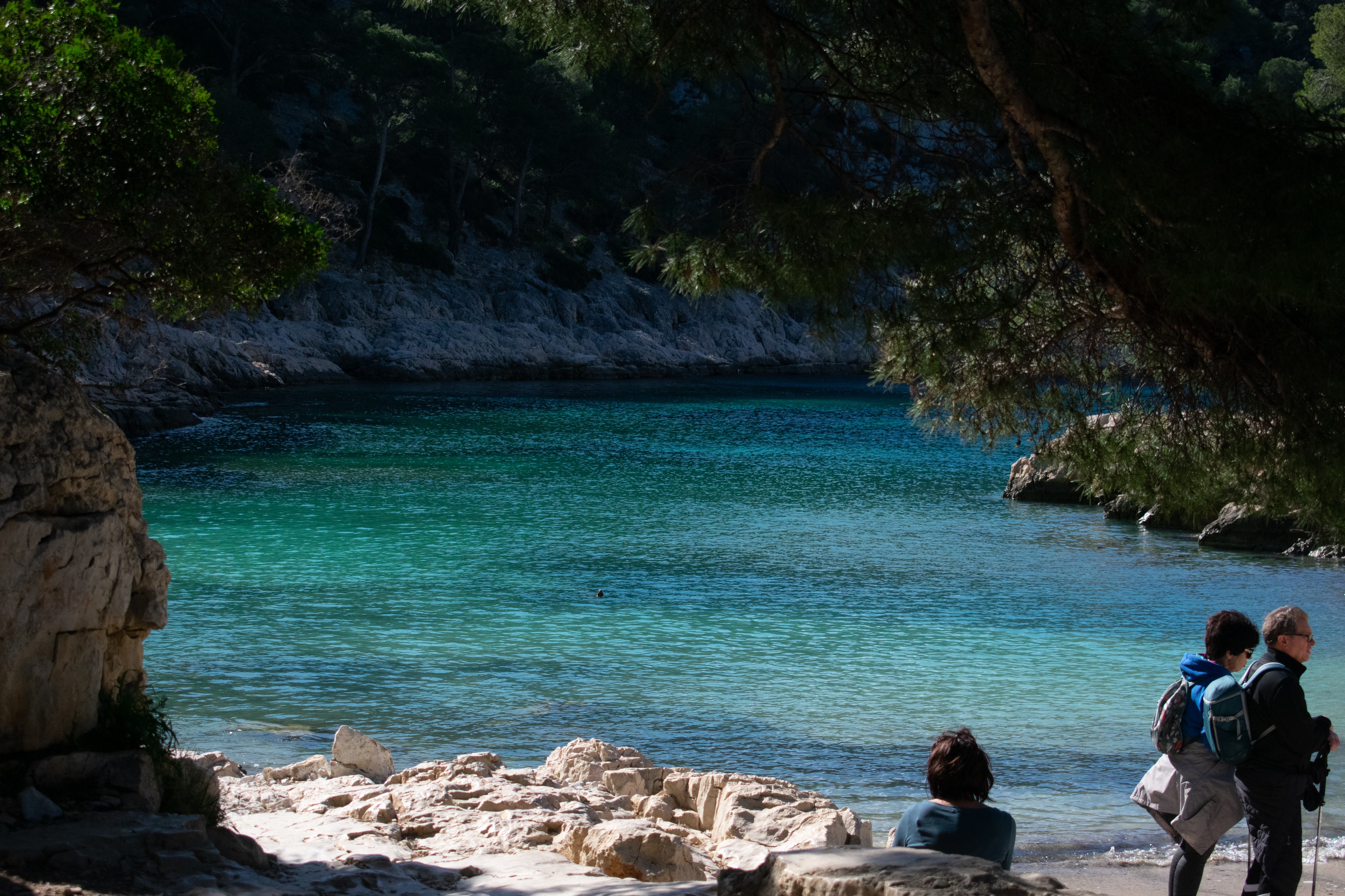 Hiking in the Calanques national park from Luminy  - Photo 4