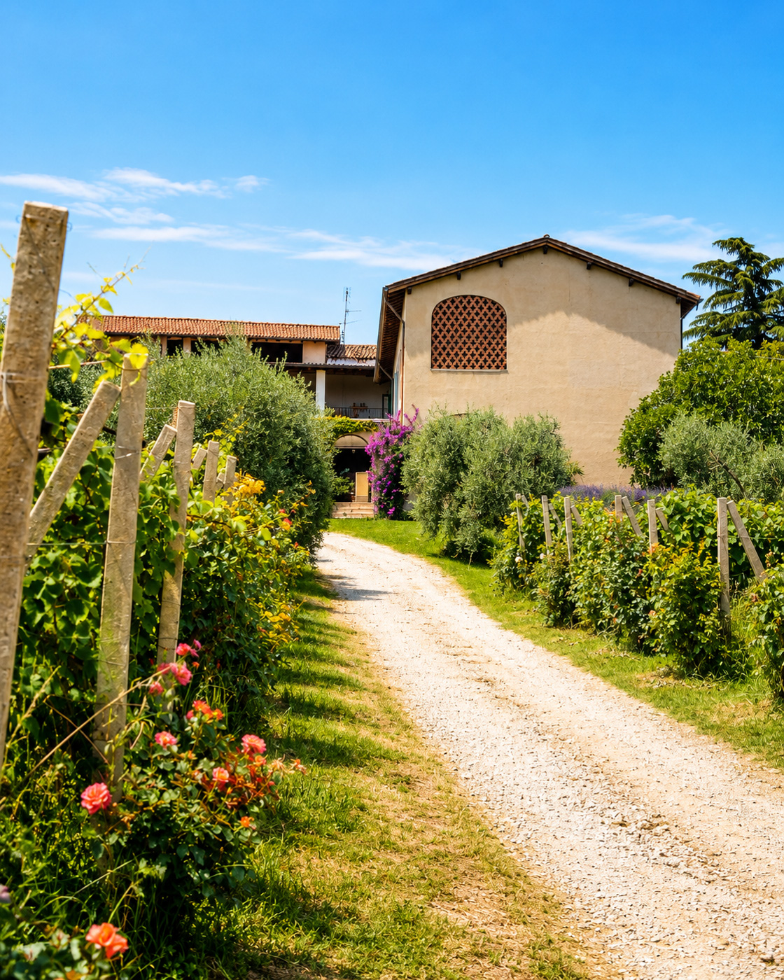 Valtenesi bike tour with lake view and wine tasting from Moniga - Photo 17