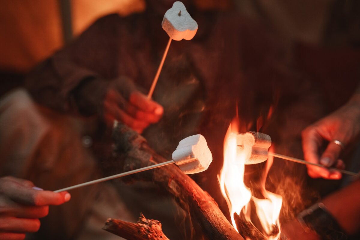 Aurora hunt with campfire, thermal suits & marshmallows - photo 17