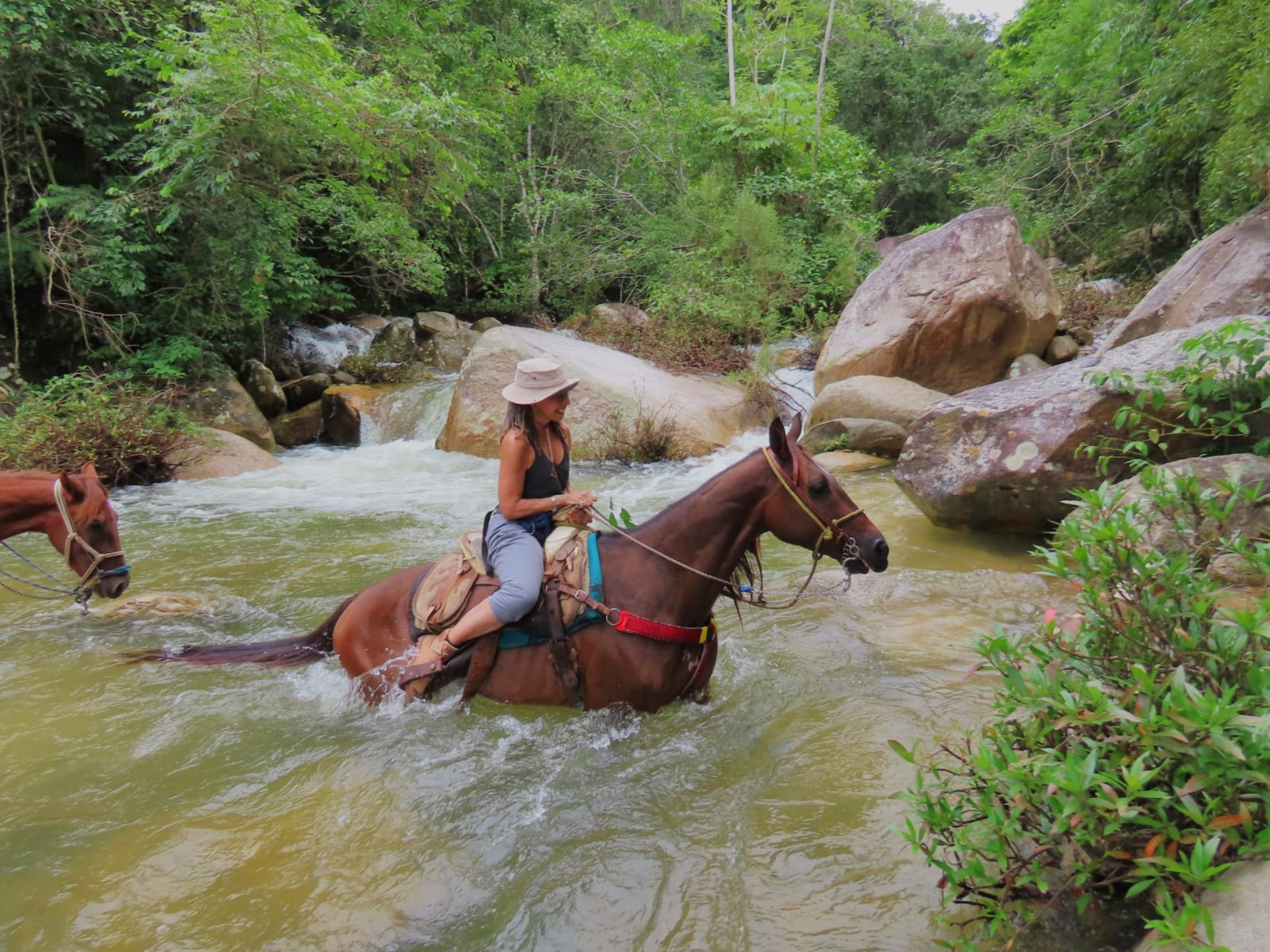 Desde Puerto Vallarta Cabalgata por la Sierra Madre