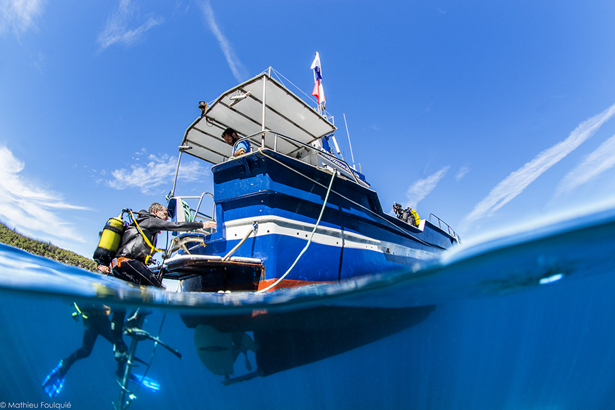 PADI Open Water Diver - First diving title - Photo 3