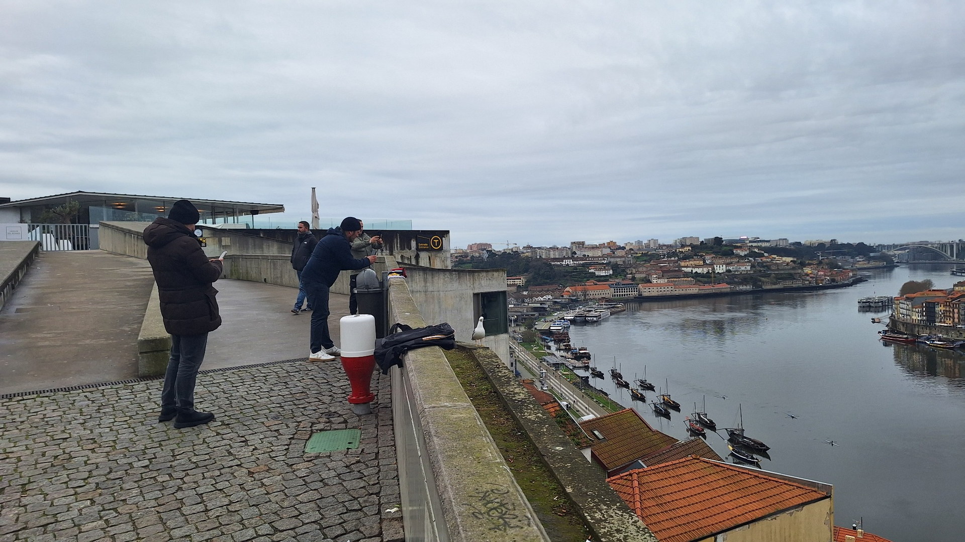 Private Porto Afternoon Tour: Old Town Icons and Bridge Viewpoints - Photo 10