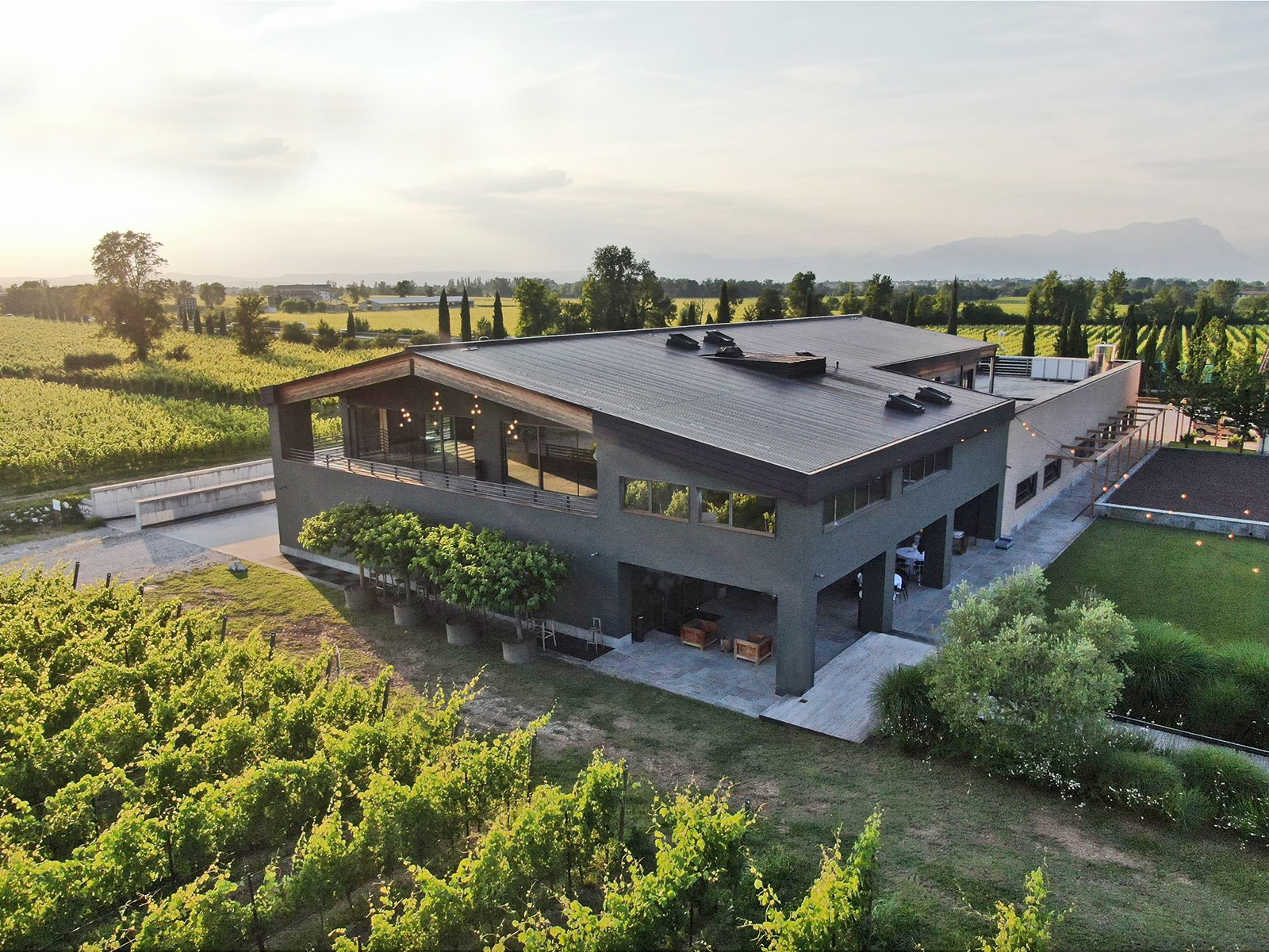 Tasting of Lugana wines with vineyard and cellar tour near Desenzano - Photo 5