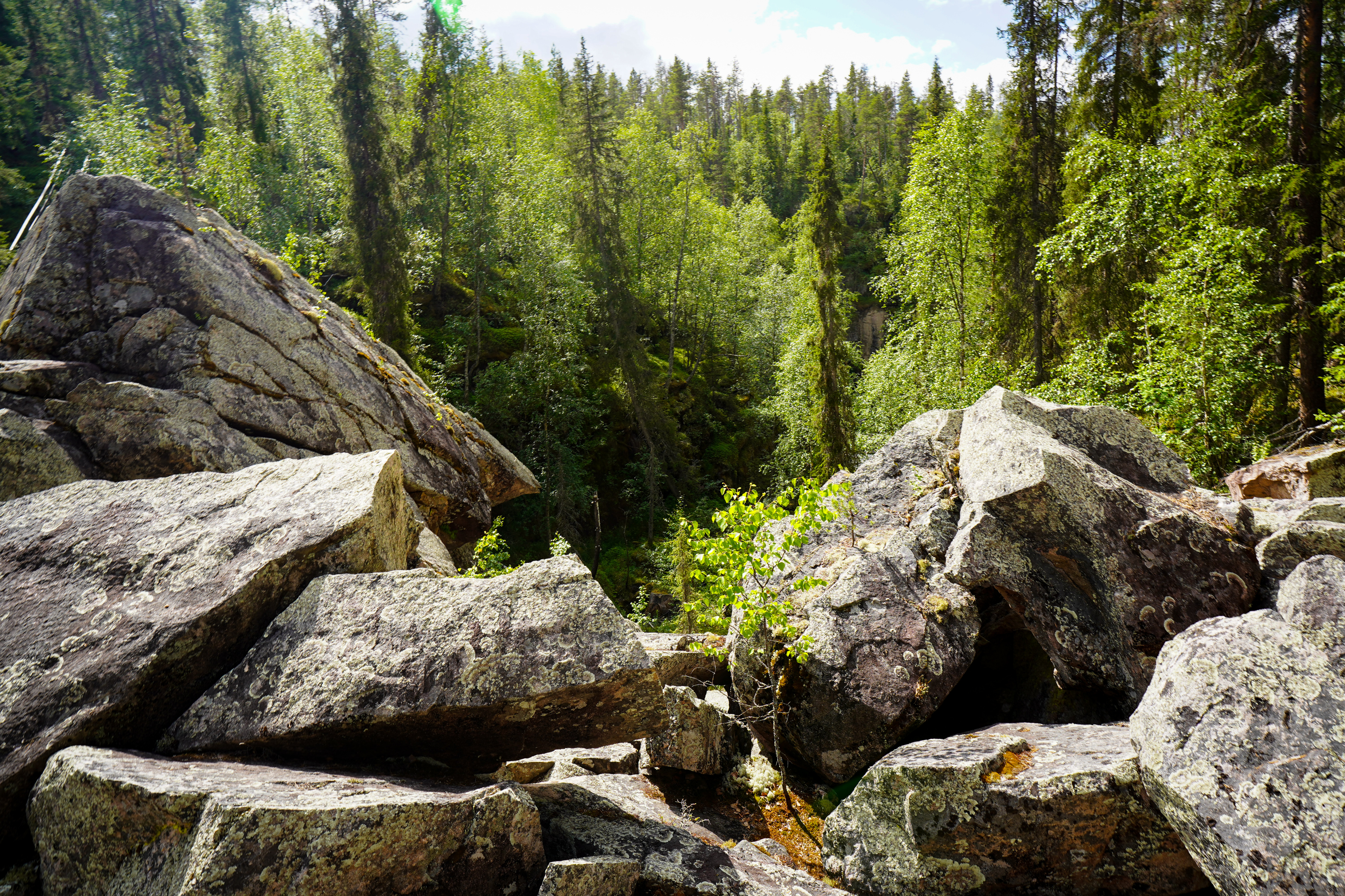 Auttiköngäs Wilderness Hike – Image 4 | WeShare