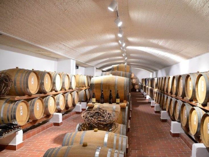 Santorini Small-Group Wine Tour: 3 Wineries, Tastings & Hotel Pickup – photo 5