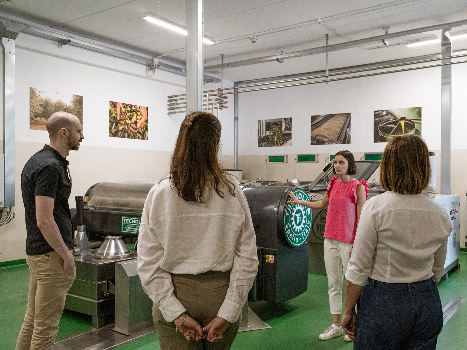 Lake Garda Olive Oil Tour and Tasting Experience - Photo 7
