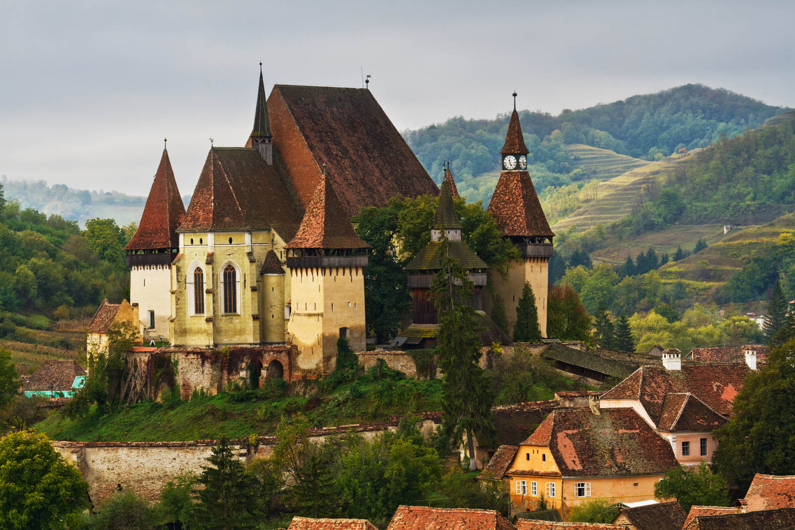 Transylvania Gems: Sighisoara, Medias, Biertan & Gypsy Encounter