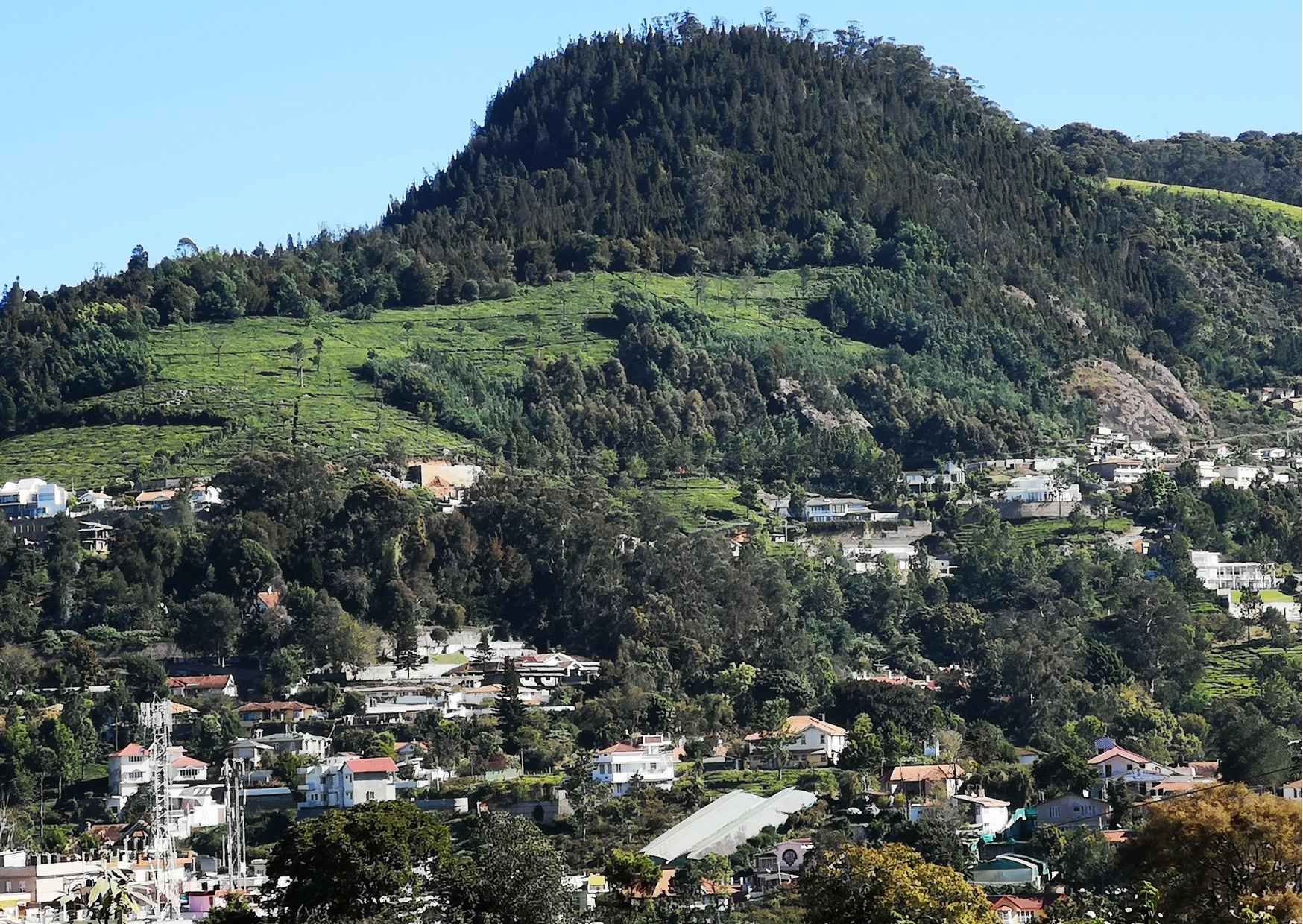 Day Trip to Coonoor (Guided Sightseeing Tour by Car from Ooty) - Photo 7