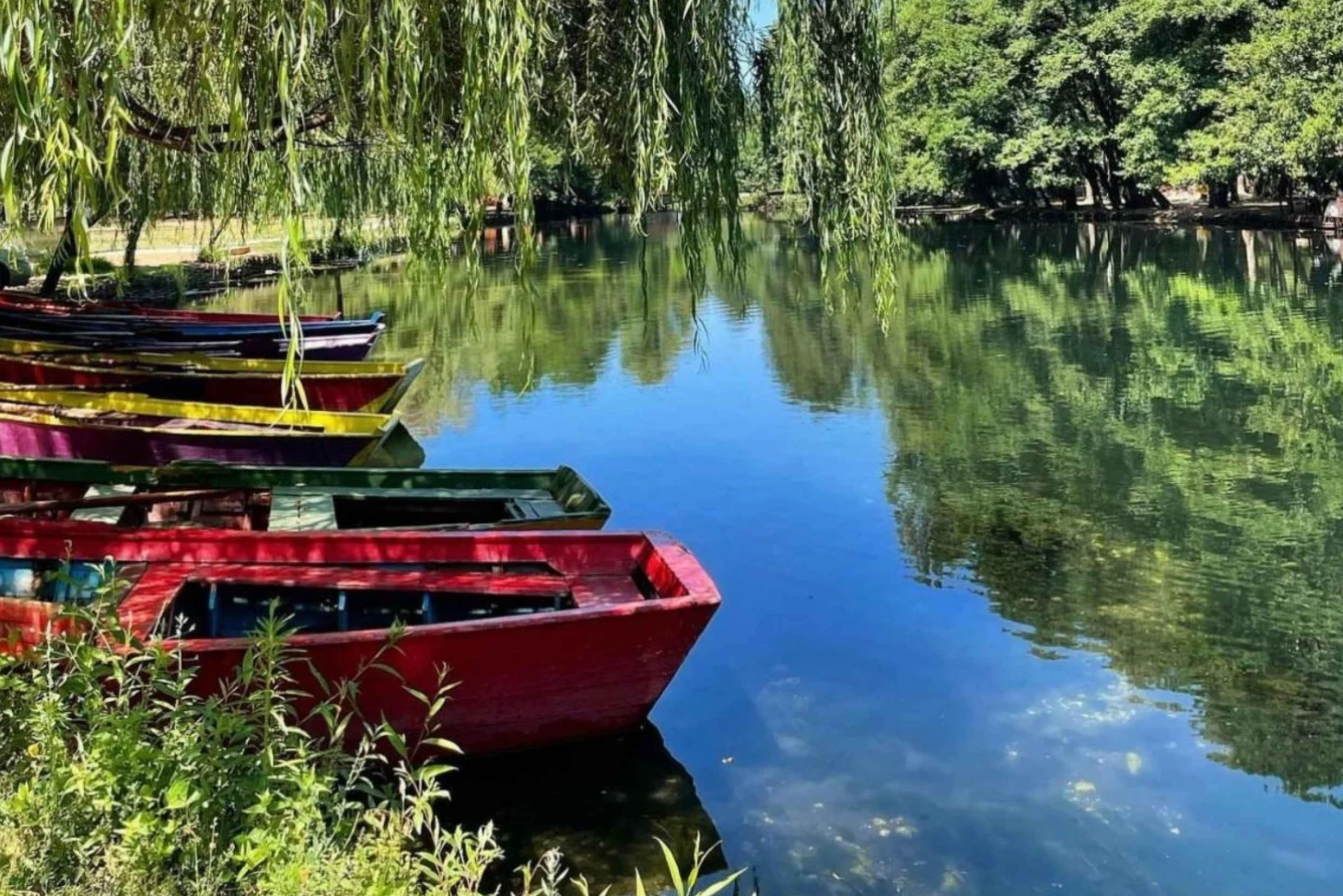 From Tirana: Cultural Day Trip to Korça, Pogradec & Lake Ohrid - Photo 8