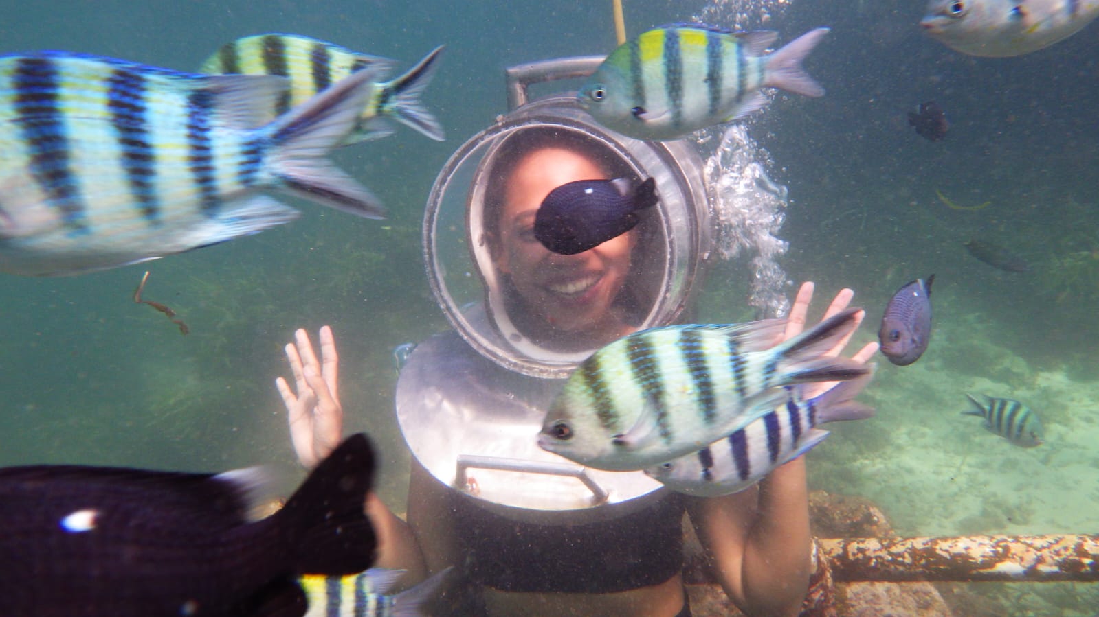 Half Day Guided Underwater Sea Walk Experience in Nusa Dua – photo 3