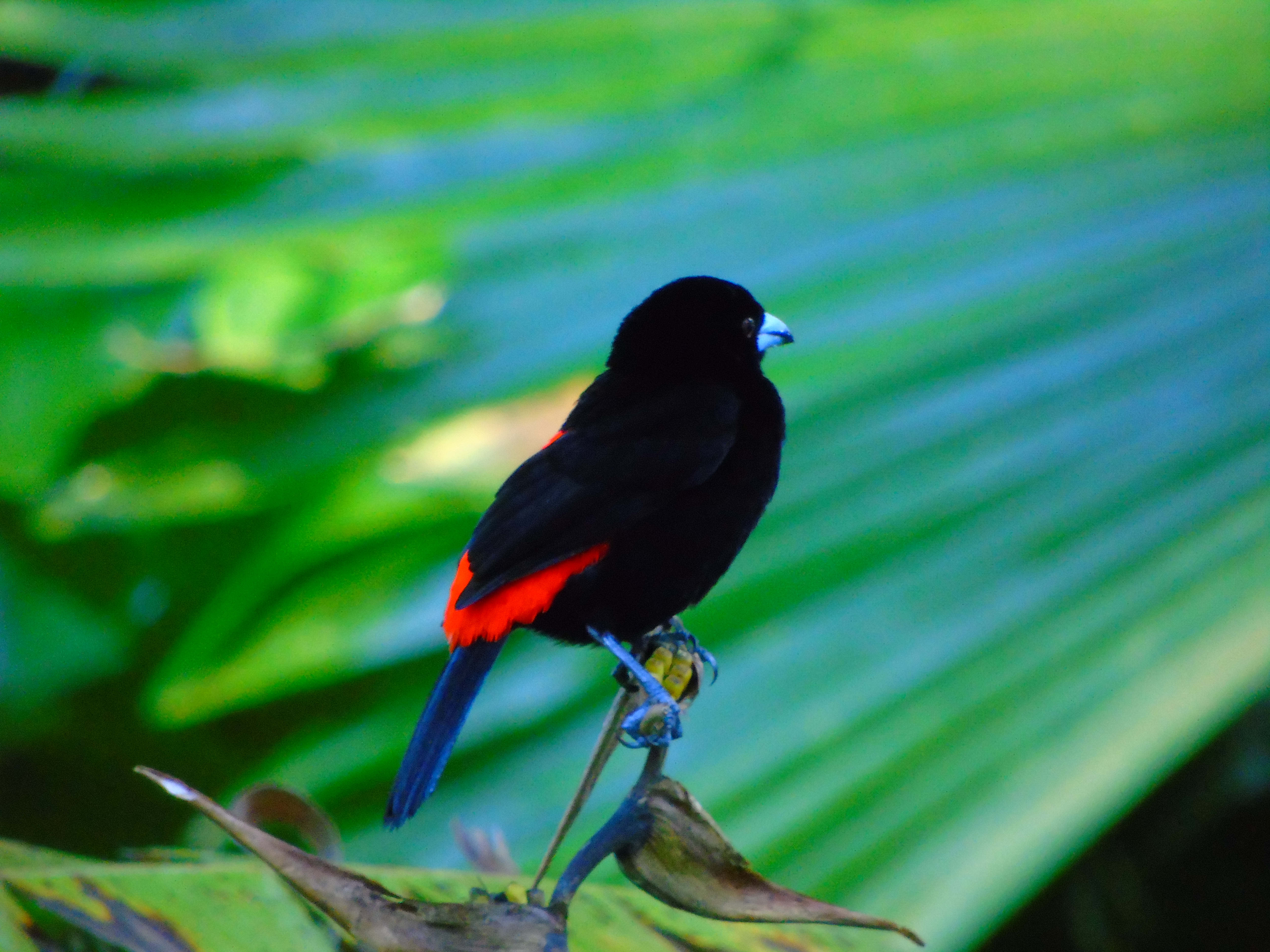 Bird Watching Tour 3