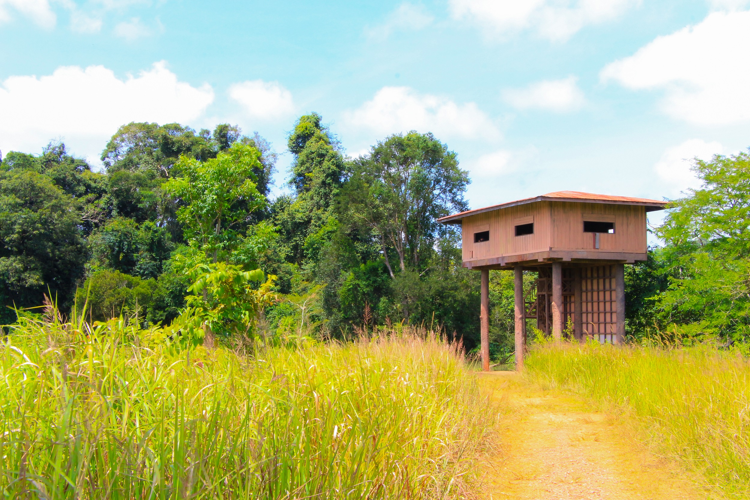 Khao Yai National Park Tour with Waterfalls from Bangkok: Semiprivate or Private Option with Pickup
 - Accommodations in Bangkok