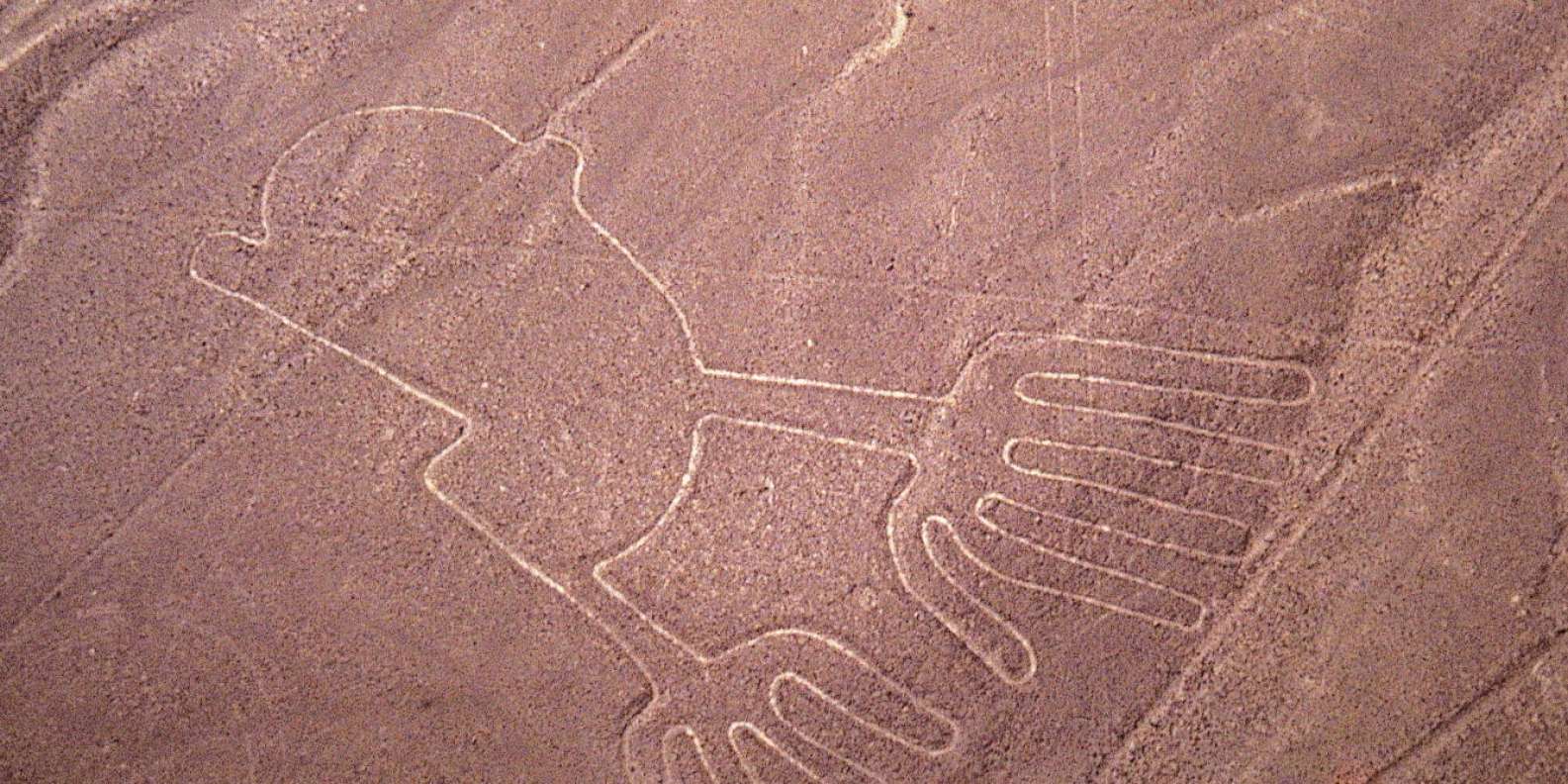 Ica-08 : Sobrevuelo a las Líneas de Nazca Full Day - Salida desde Ica - Foto 4
