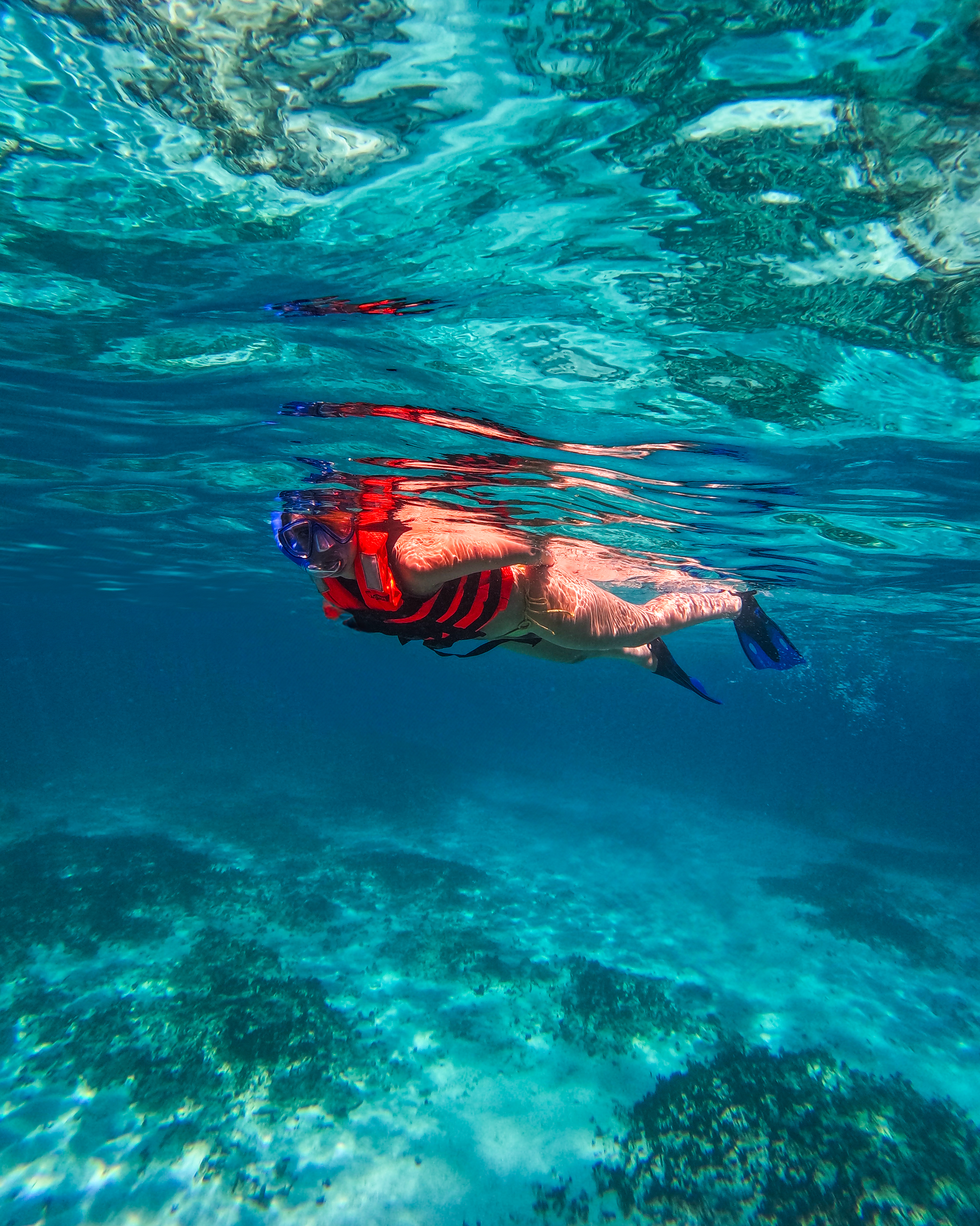 1.5 hours Snorkeling at Tulum's paradise reef — 74/92