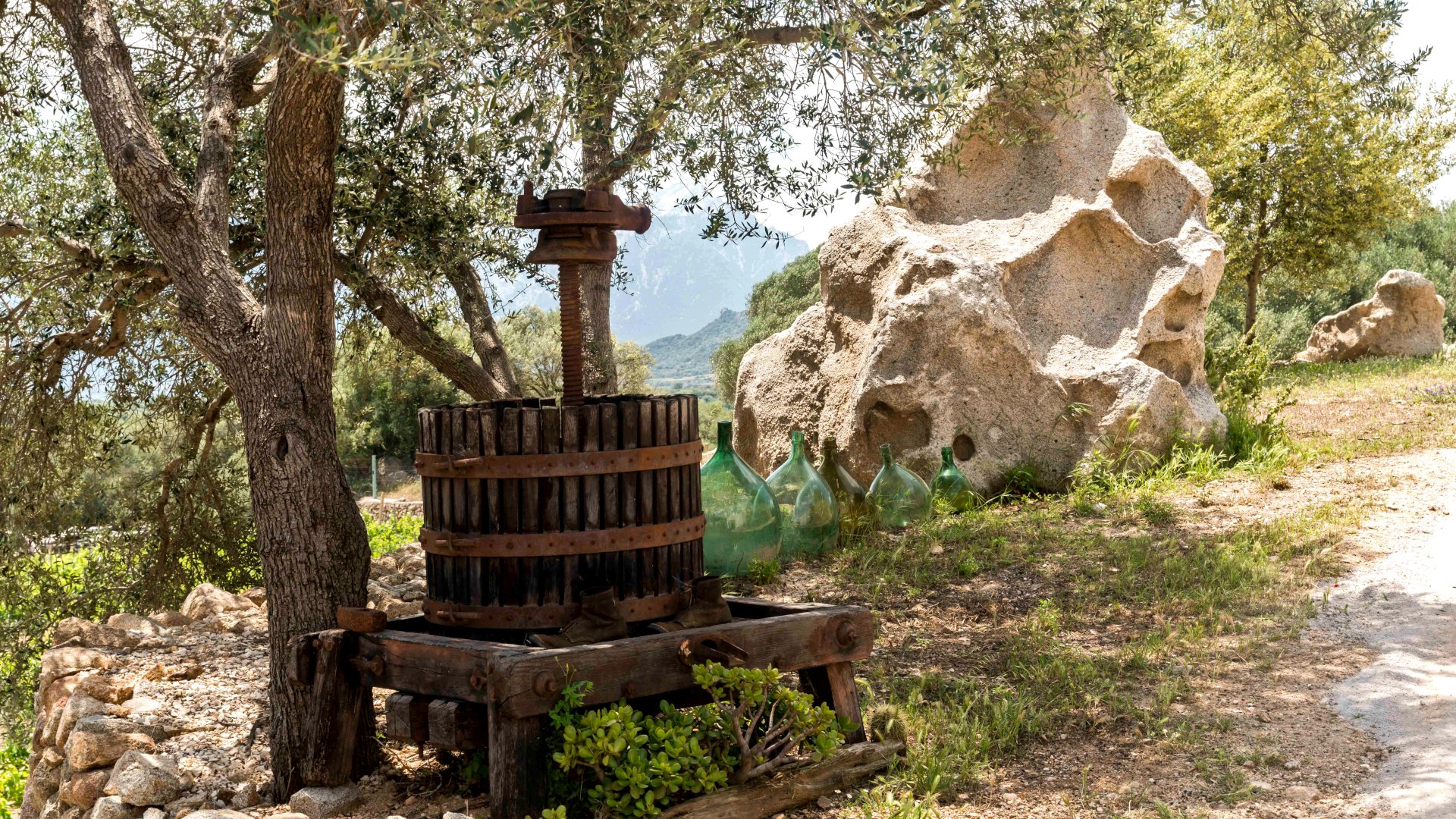 Dorgali: visit of a winery with tasting - Photo 20