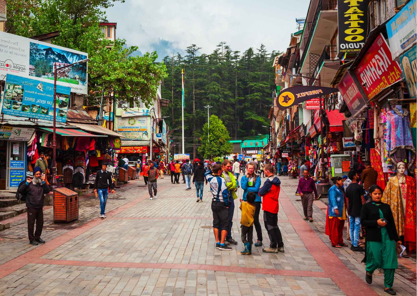 Best of Manali (Guided Halfday Sightseeing Tour by Car) - Photo 8
