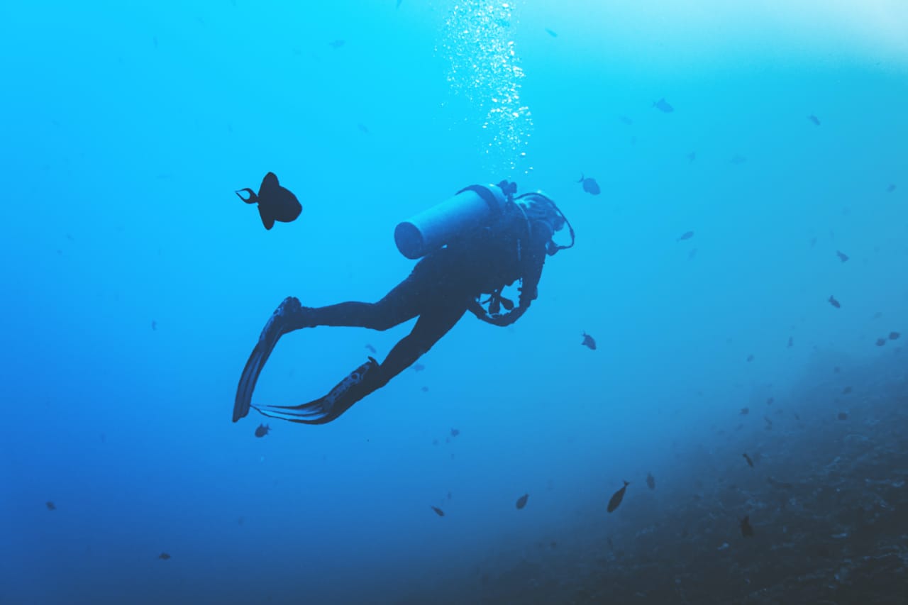 Experiencia de buceo privado en Bali en Nusa Dua - Foto 4