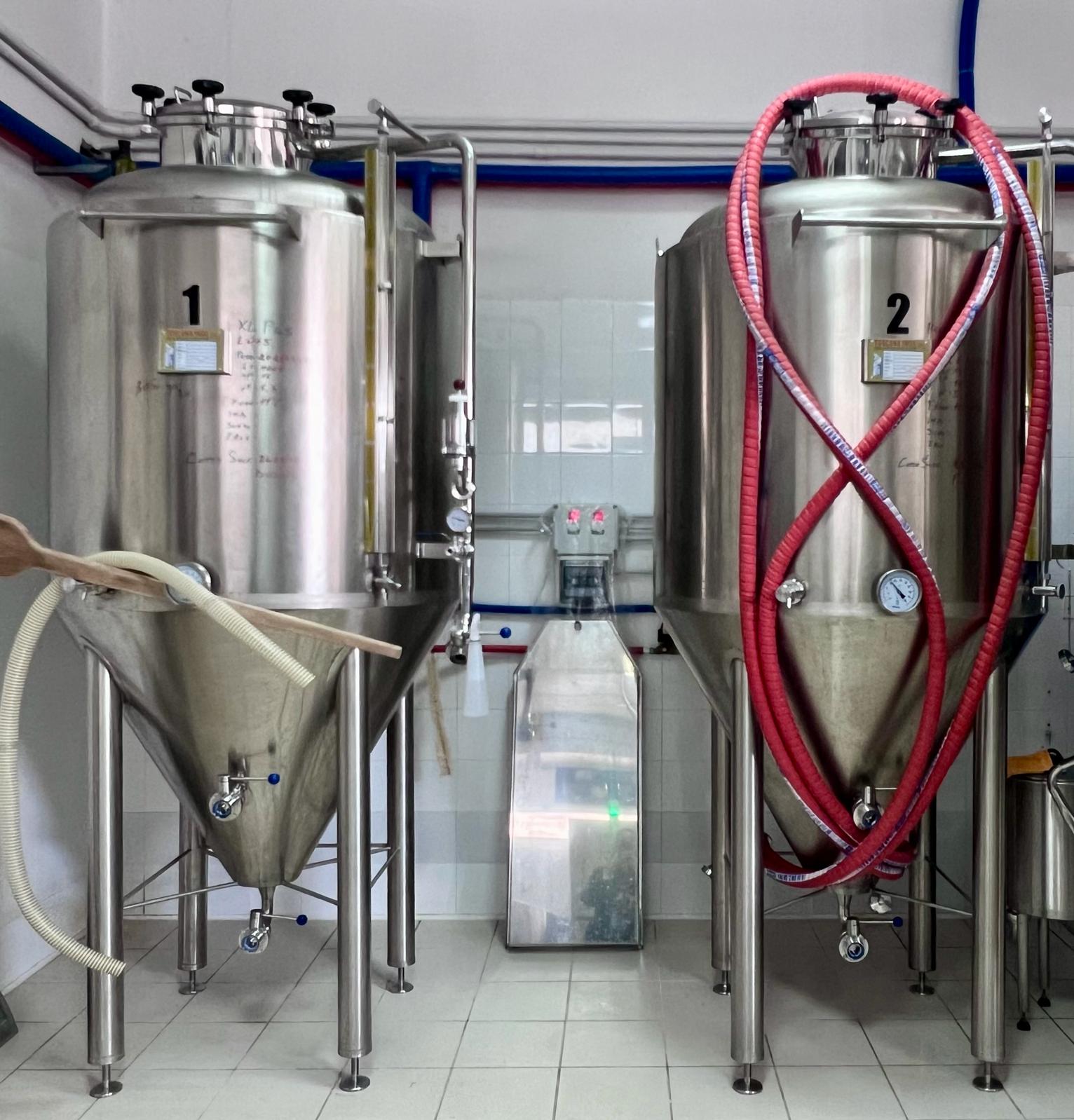 Benevento: visit and tasting at a brewery in Apollosa - Photo 9