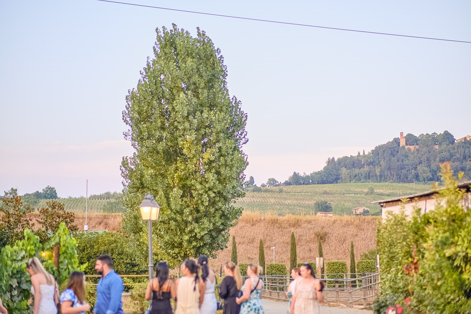 Small-Group Winery Tour with Tasting and Dinner in Chianti - Photo 97