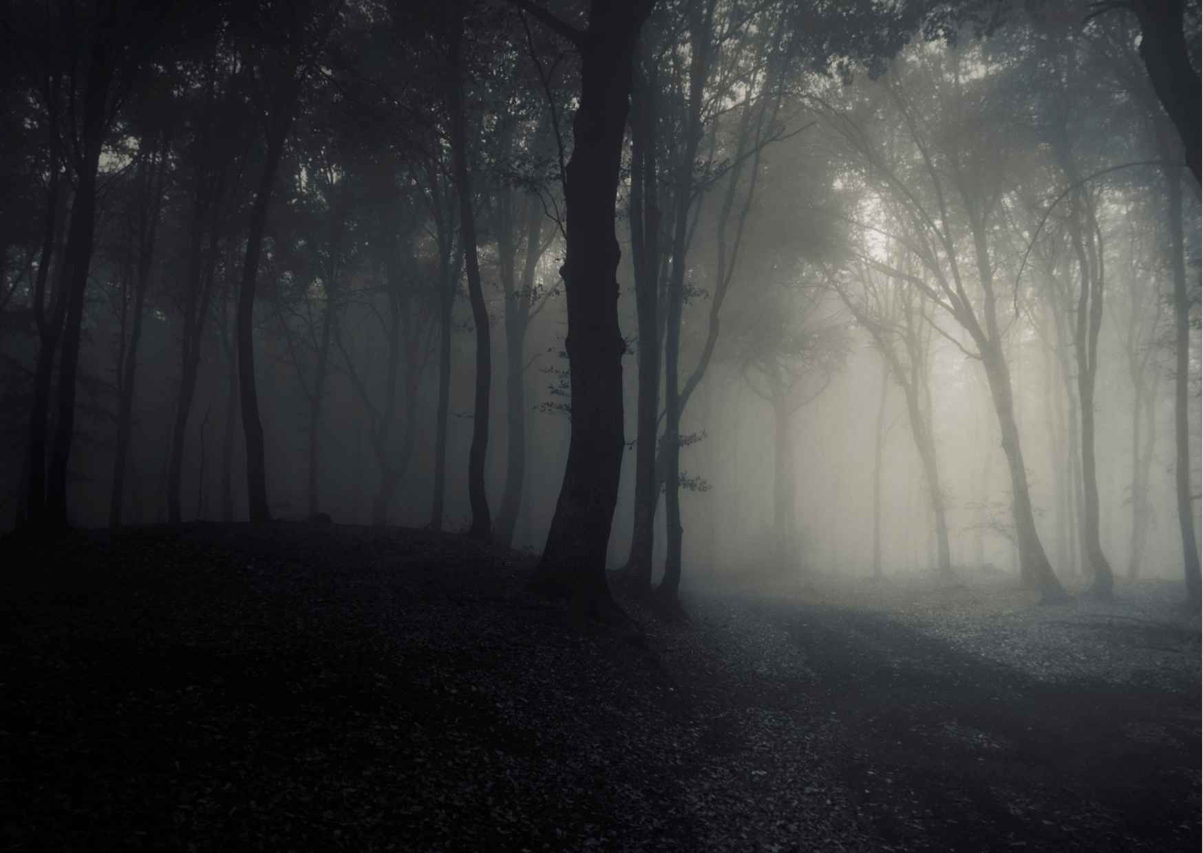 Haunted Walk Tour Mussoorie - Photo 7