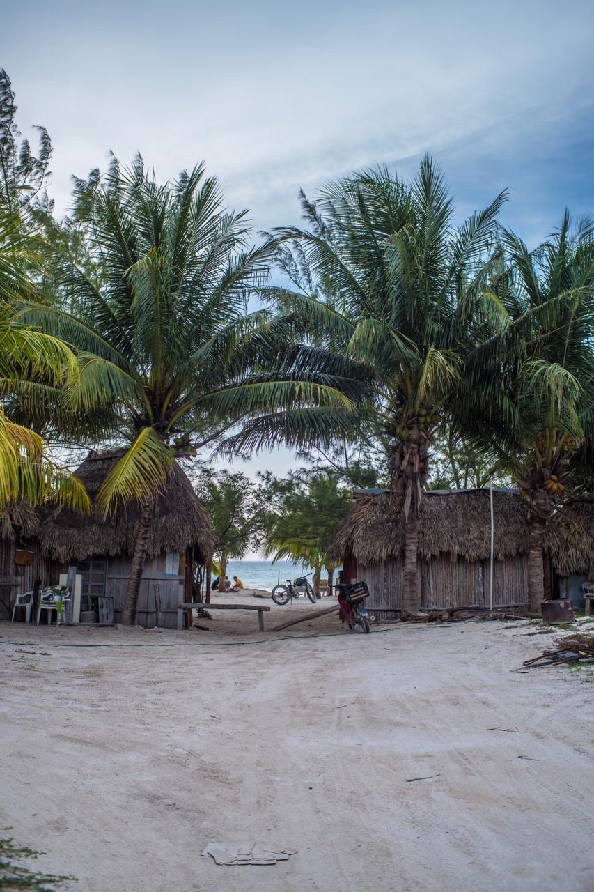 Excursión premium a Holbox Isla Pasión Cenote Yalahu — 9/9