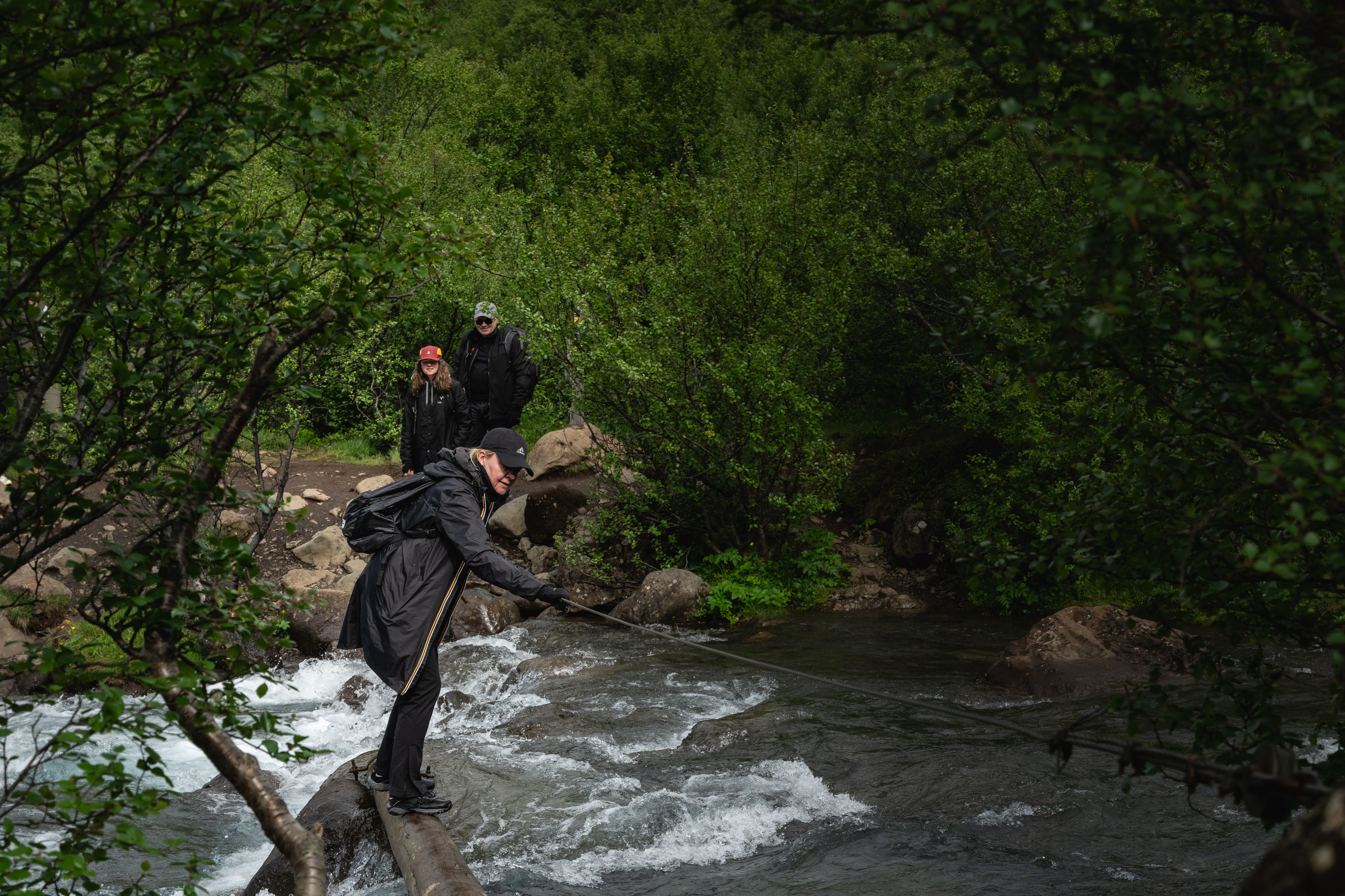 Private Hiking Tour to Glymur Waterfall: Minivan Transfer - photo 7