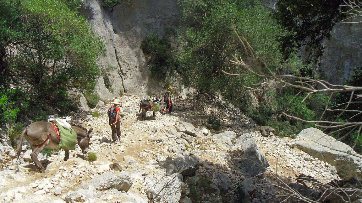 From Dorgali: 3-day donkey trekking in the Gulf of Orosei - Photo 7