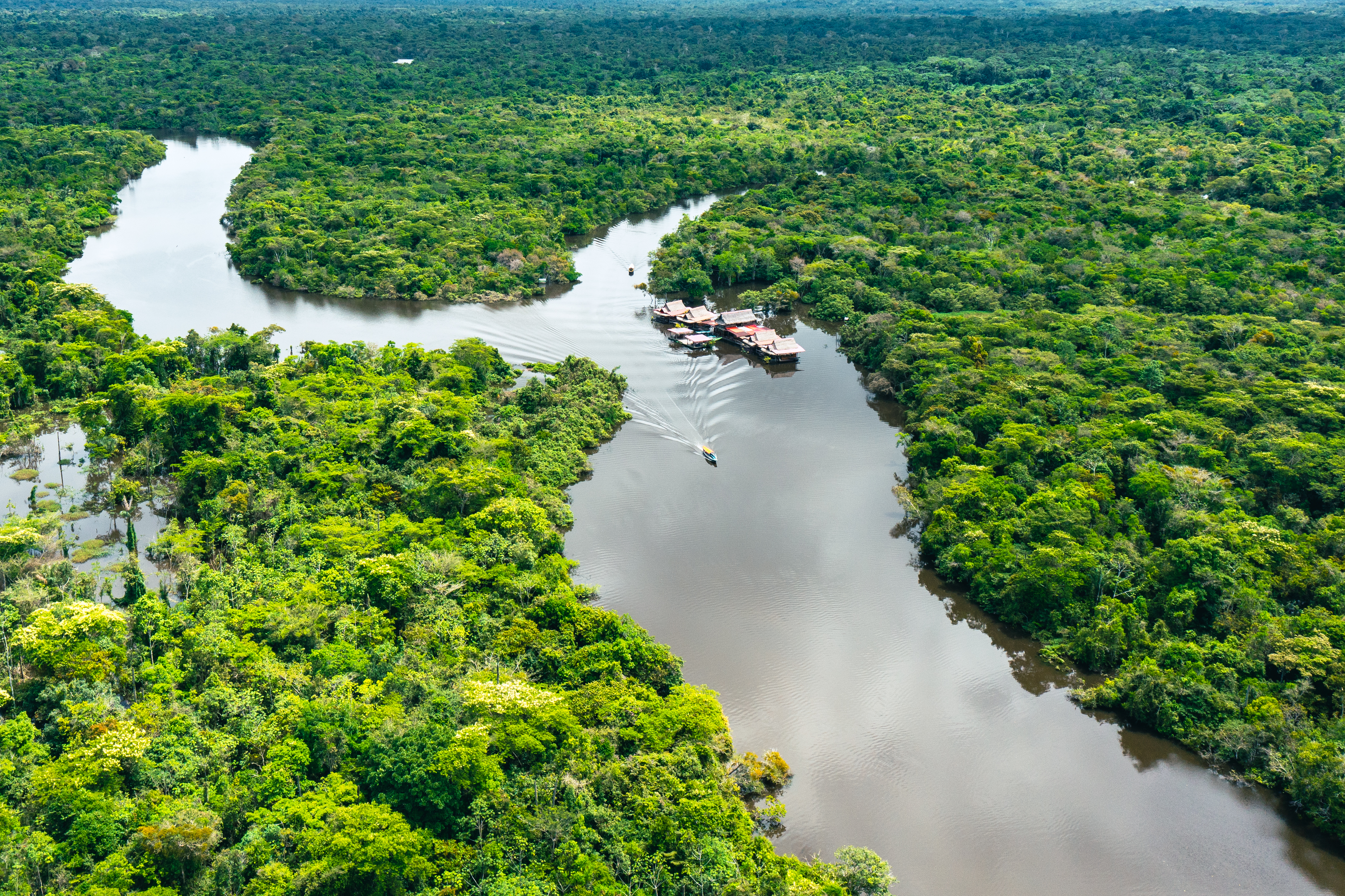 Iqu-02: Selva de Iquitos - 2 días de descubrimiento de la selva tropical