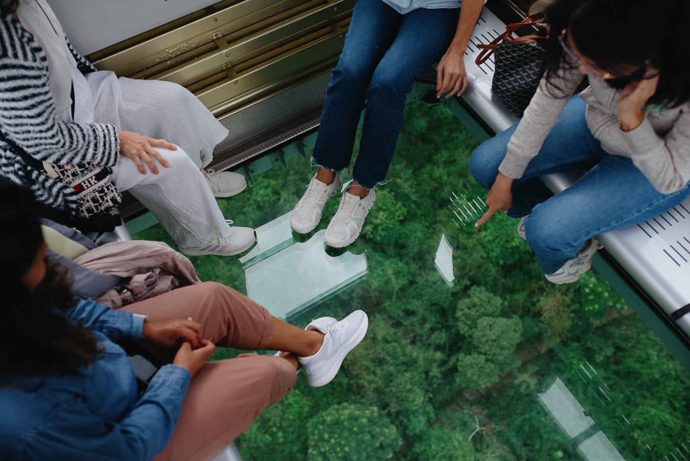 Cruise Layover Tour: Giant Buddha on Lantau Island in Private Service - Accommodations in Hong Kong