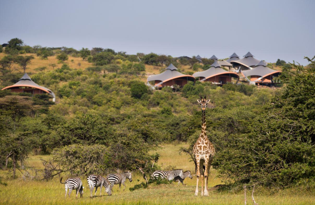 10-Day Kenya Safari Beyond Luxury – An Extraordinary Escape into the Wild – photo 4