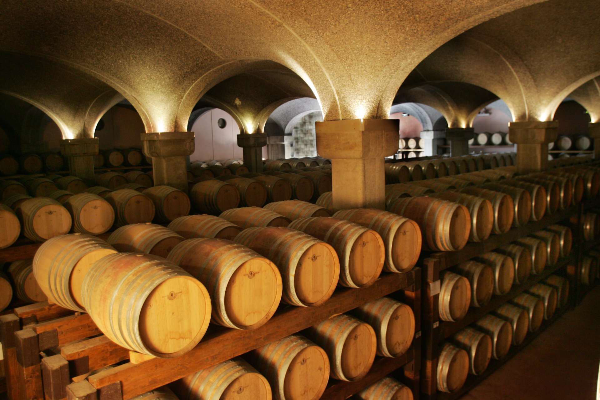 From Cagliari: visit to a winery with tasting - Photo 3