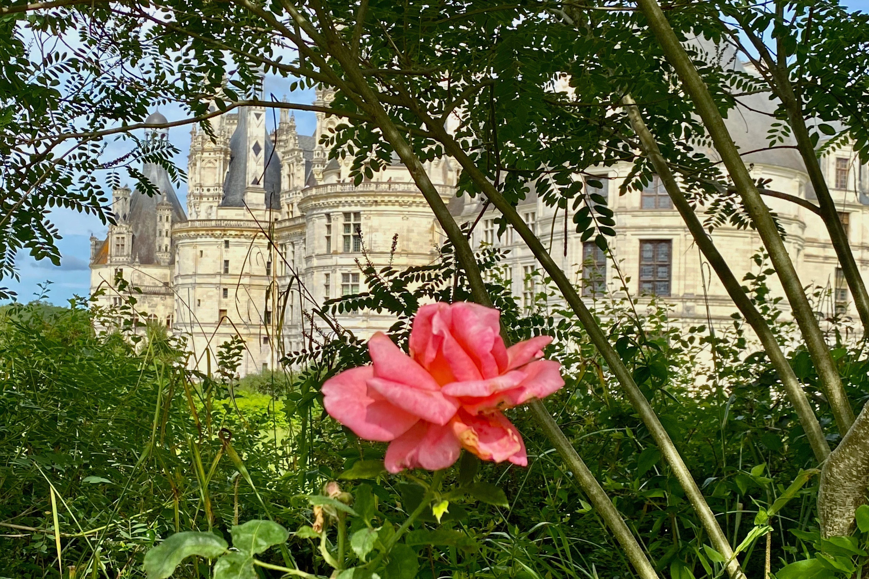 3-day Normandy, D-Day, Mont Saint-Michel, 3 Loire Castles Small-group by Minivan. - Photo 73