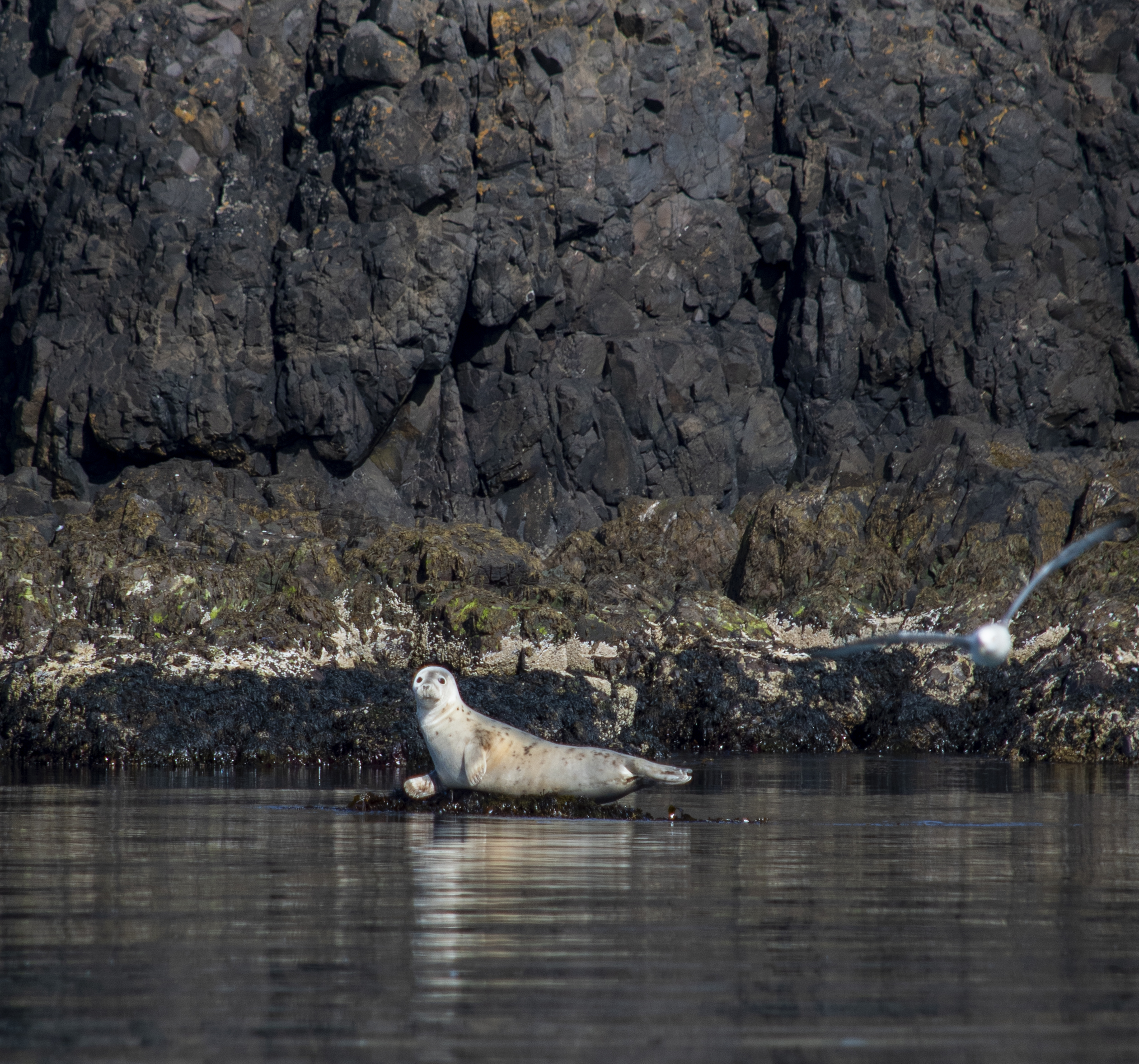 Secret Quest - photo 18