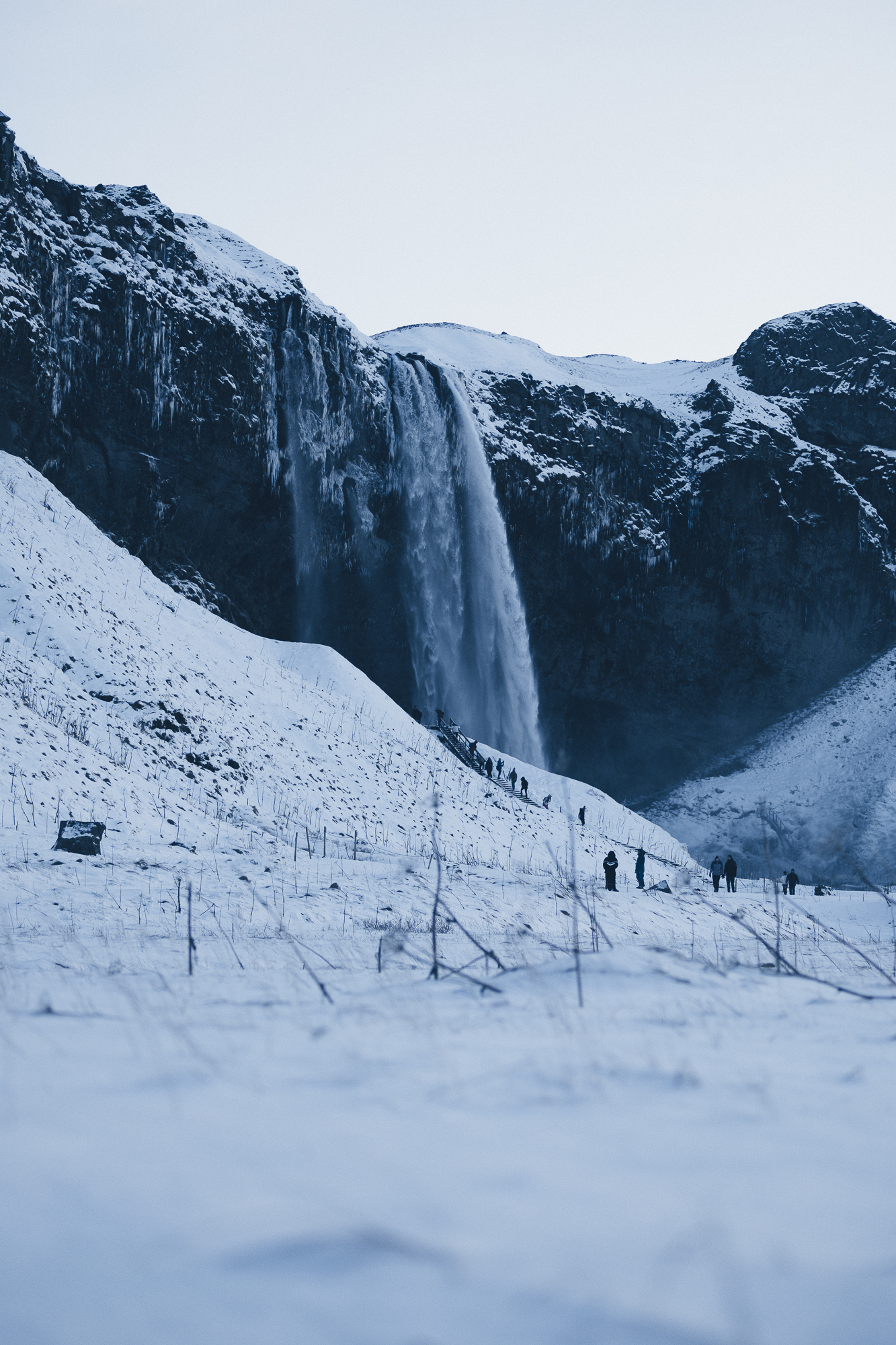 South Coast & Black Sand Horse Riding Tour - photo 8