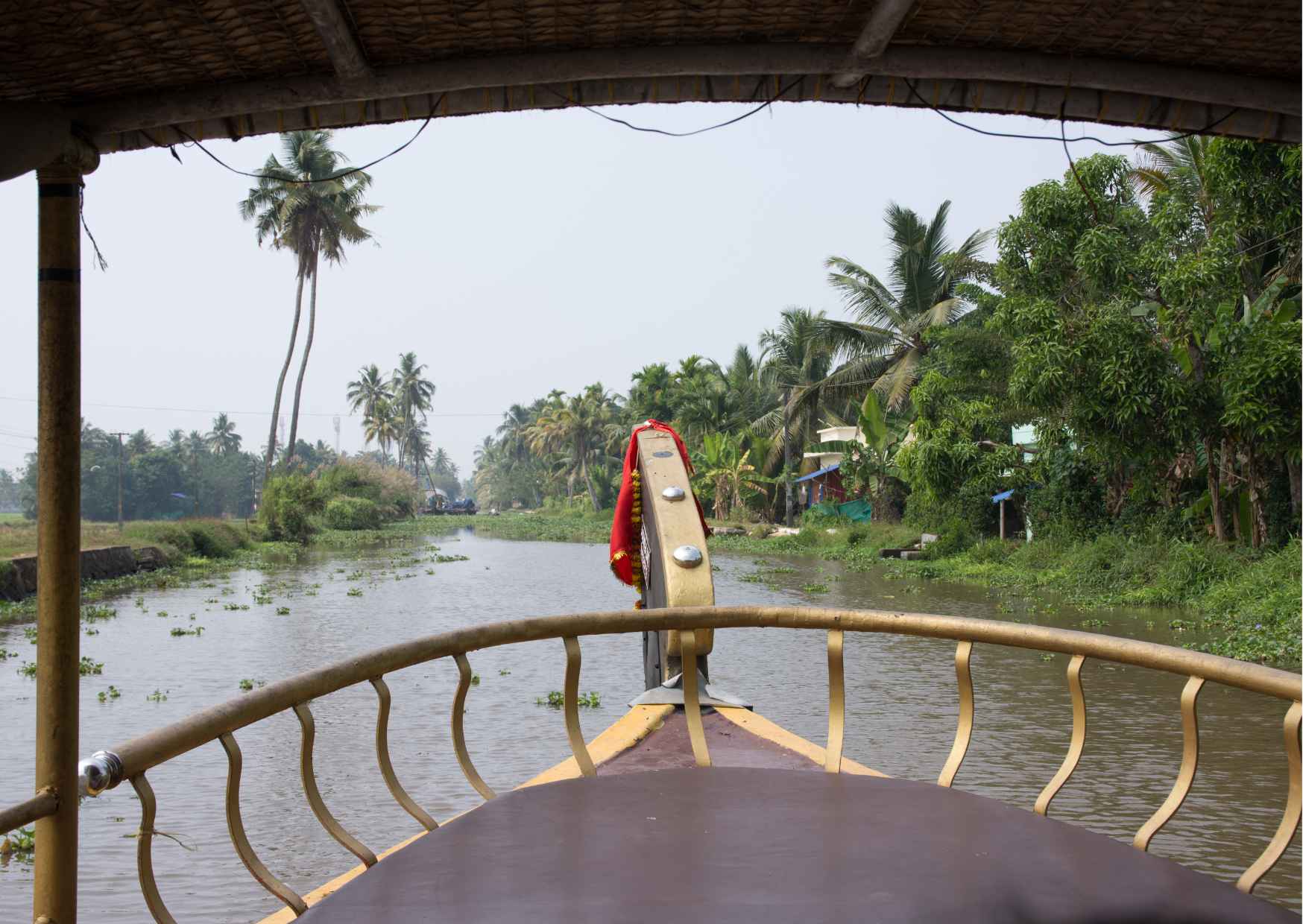 Day Trip to Alleppey with backwater Experiences (Guided Full Day City Tour) - Photo 7