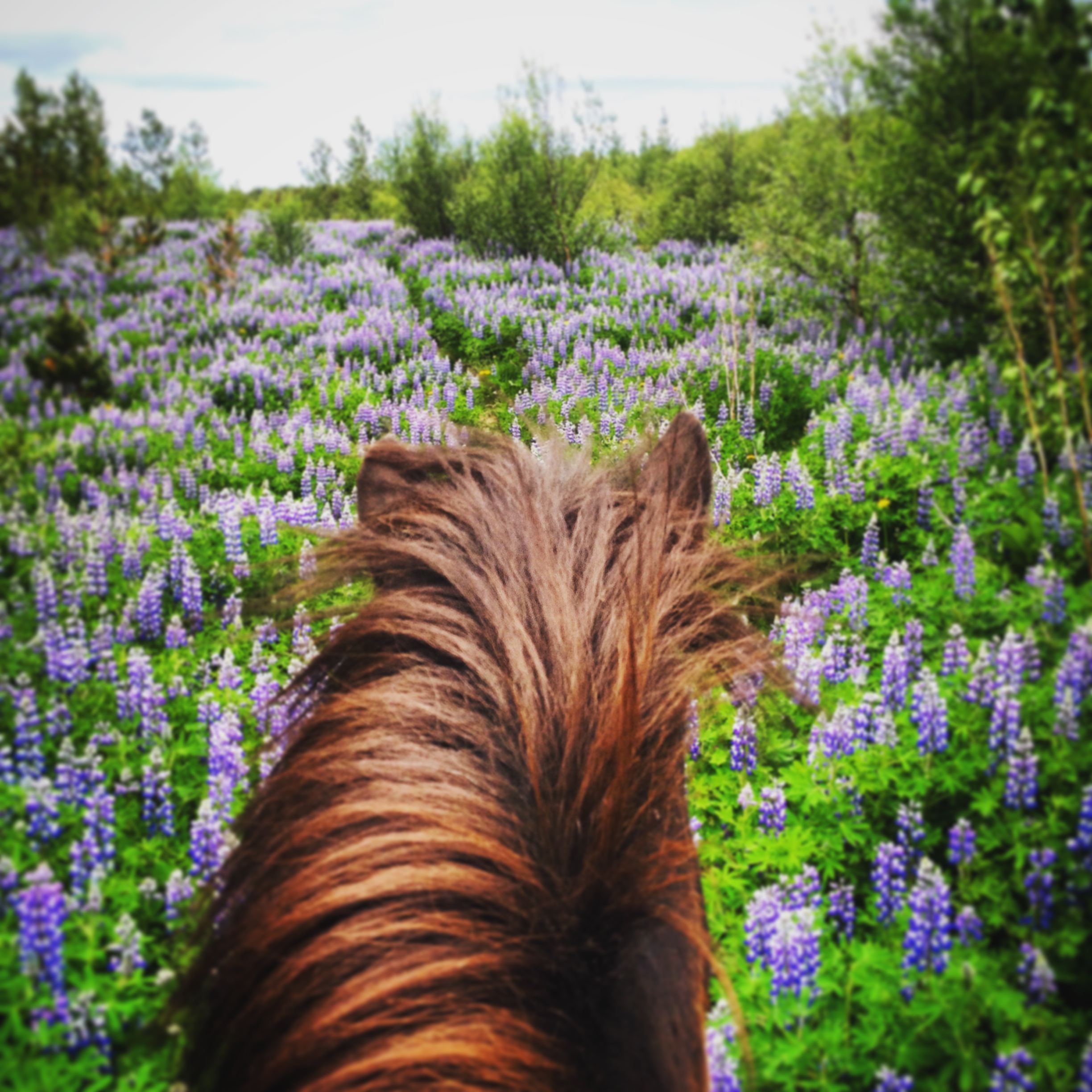 On request: 1,5  Hours Private Tour  - photo 3