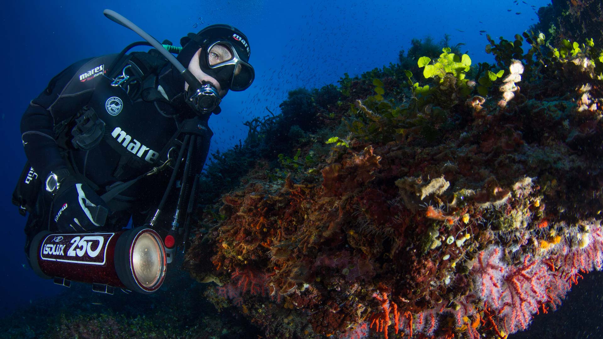 Bosa: diving baptism - Photo 26