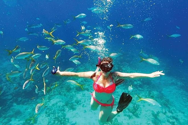 Tour de Snorkel en Playa Flamingo