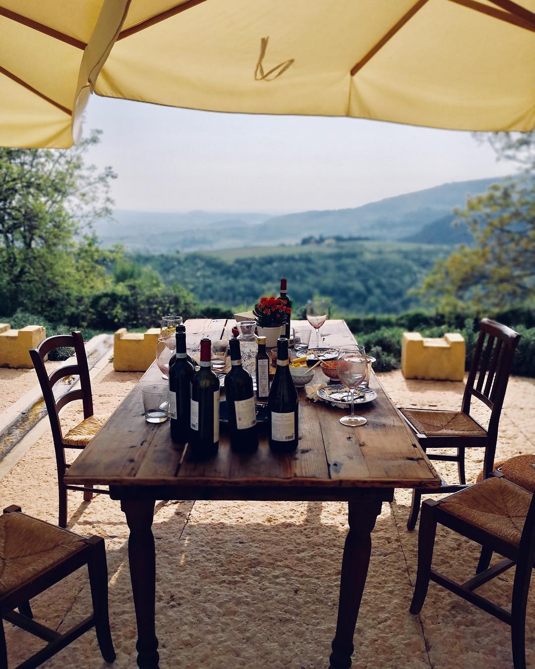 Discover DOP Olive Oil - Photo 2