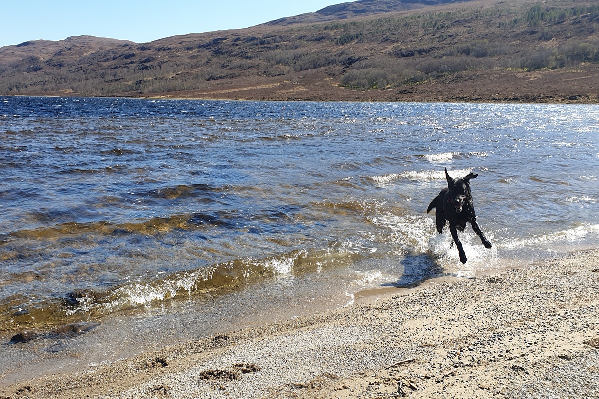 3 Days / 2 Nights - Ullapool Walking Adventure - Photo 3