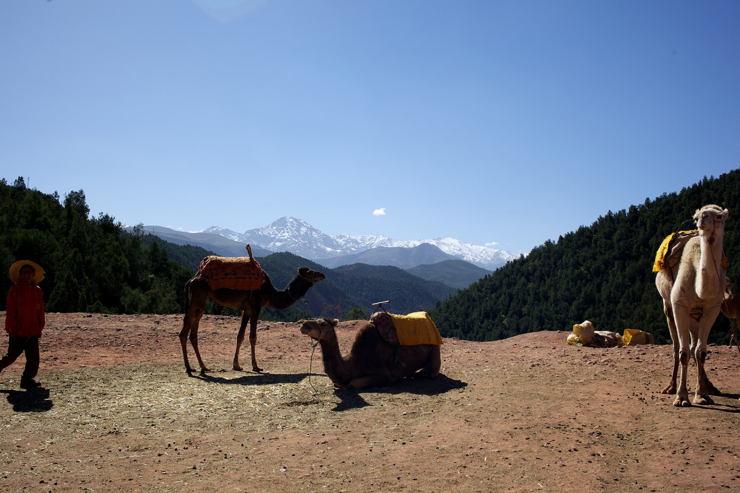 Excursión de día completo al valle de Ourika - Foto 2