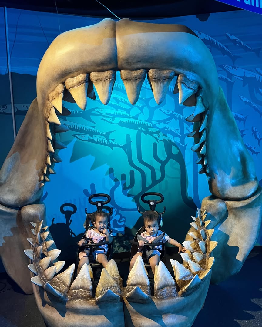 Sea Life Bangok – Image 1 | WeShare