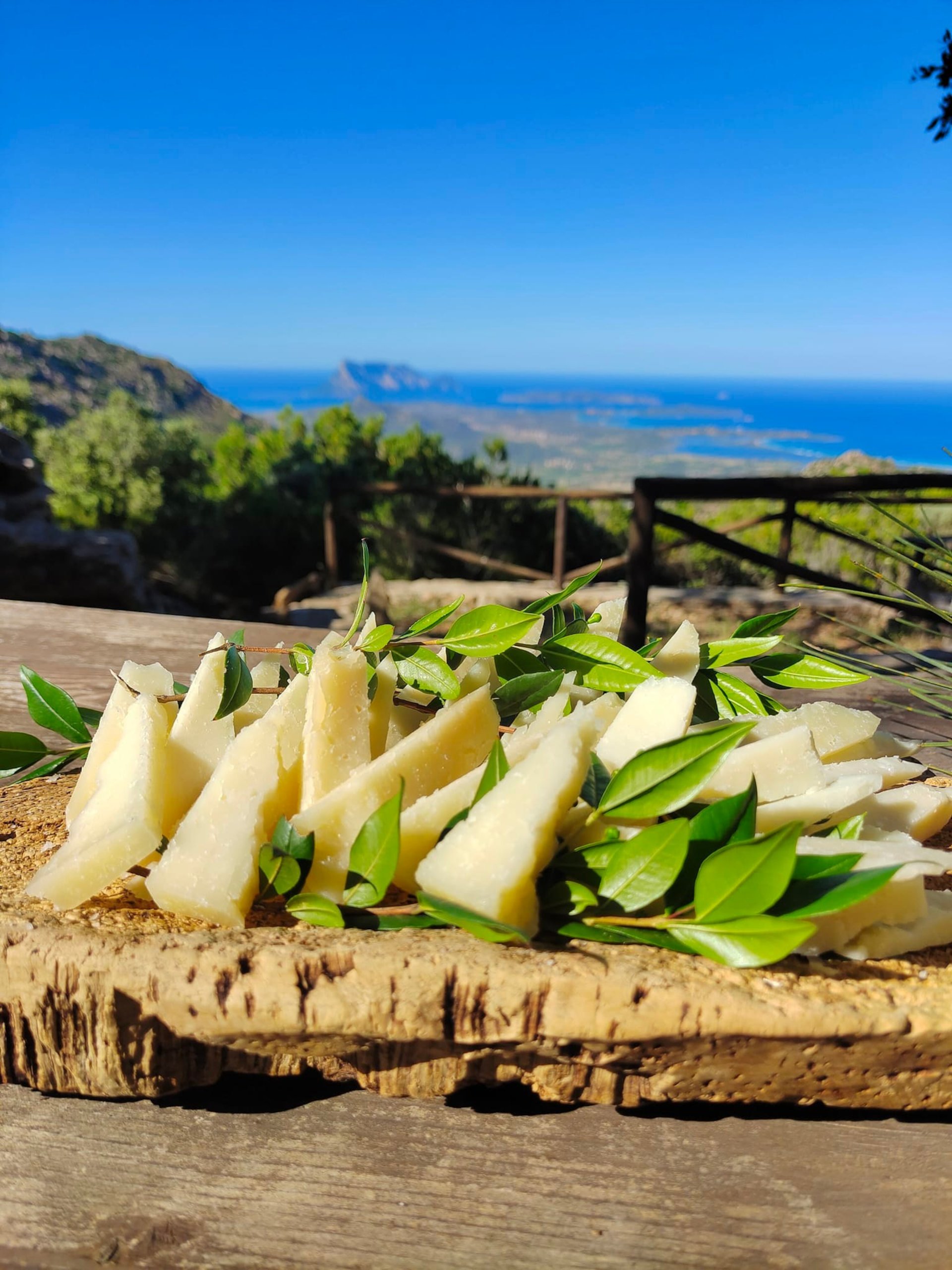 From San Teodoro: jeep tour to Rio Pitrisconi - Photo 8
