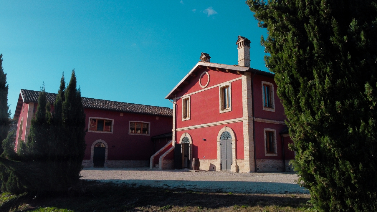 Marche: Tasting and Tour of Local Wines and Tastes at Cantina D'Erasmo - Photo 4