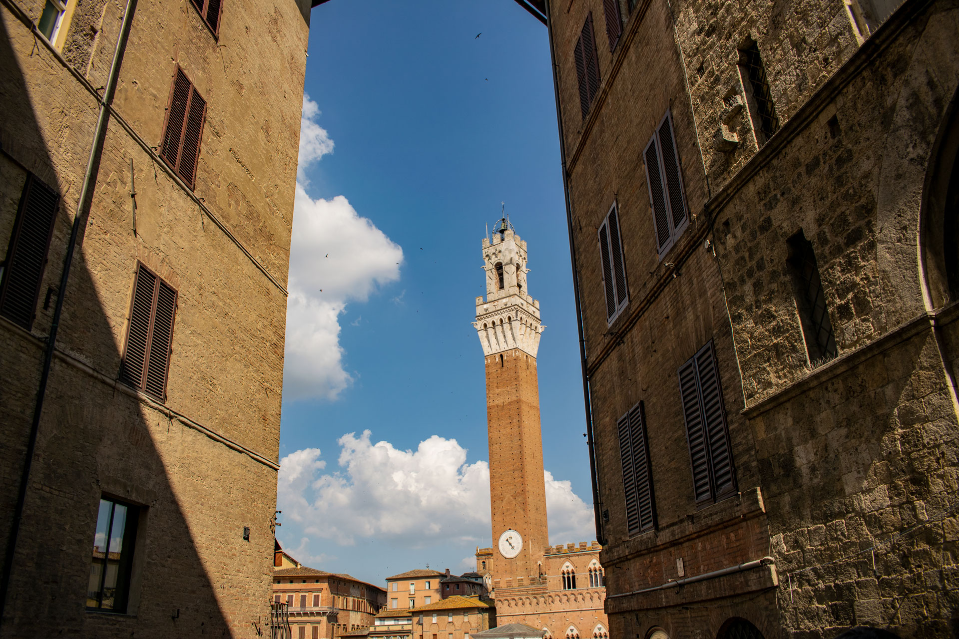 Siena & San Gimignano Tour from Florence: UNESCO Tuscany Day Trip - Photo 16