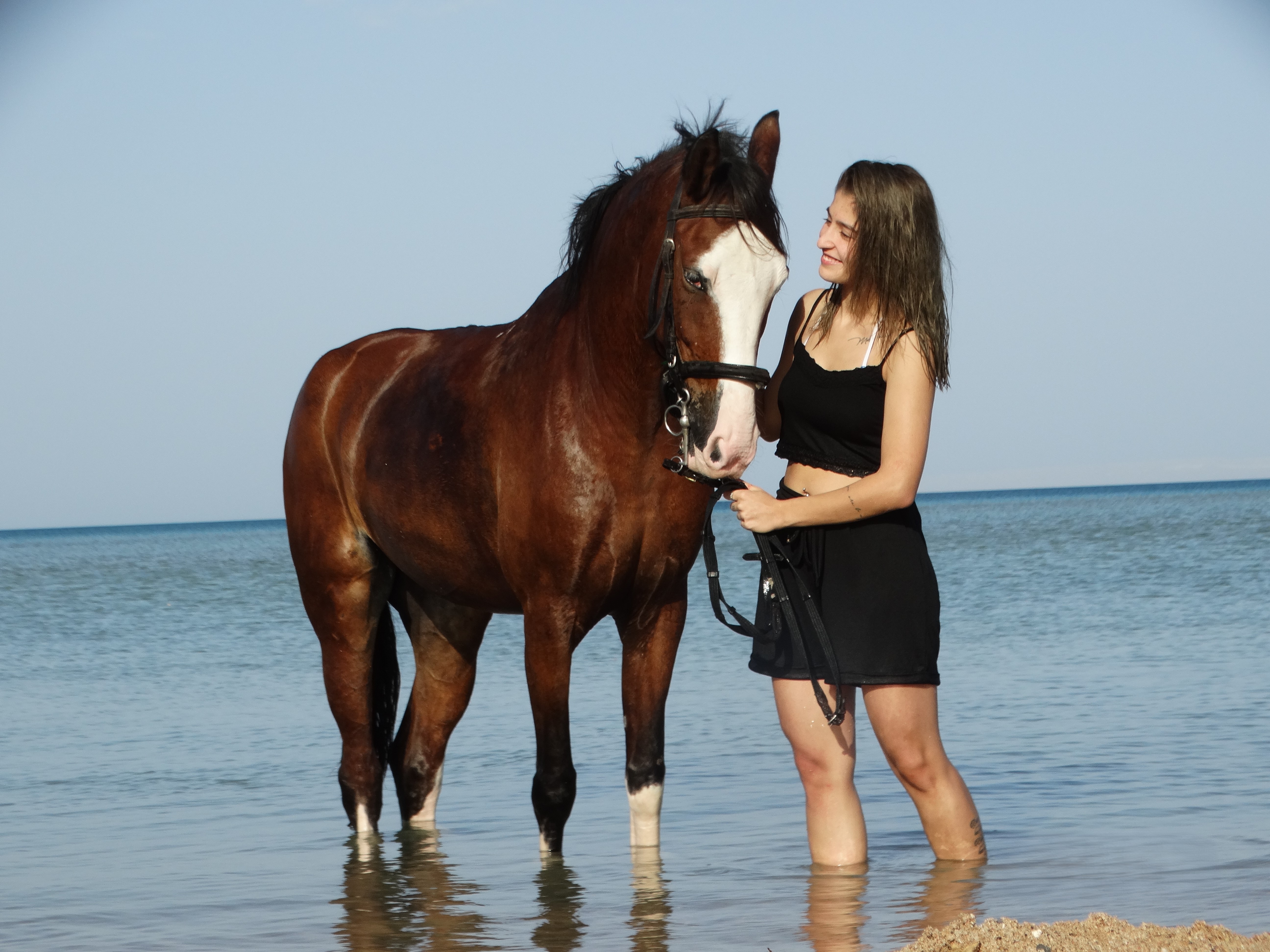 Aventura premium a caballo de 3 horas con natación - Hurghada - Foto 3