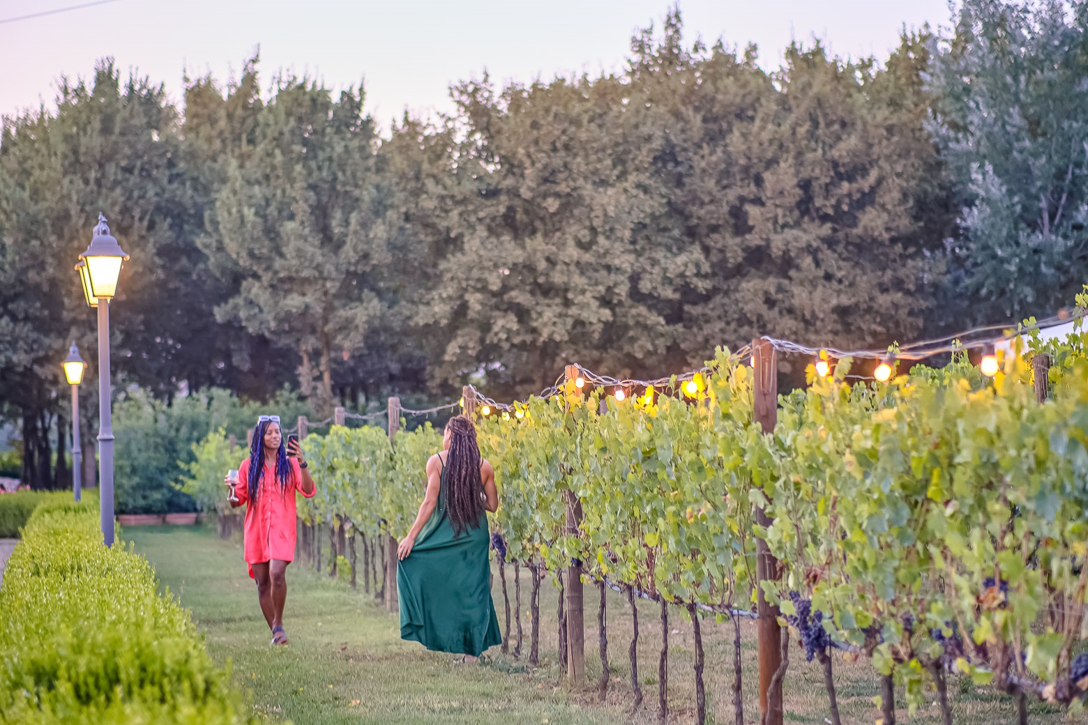 Small-Group Winery Tour with Tasting and Dinner in Chianti – Image 1 | WeShare