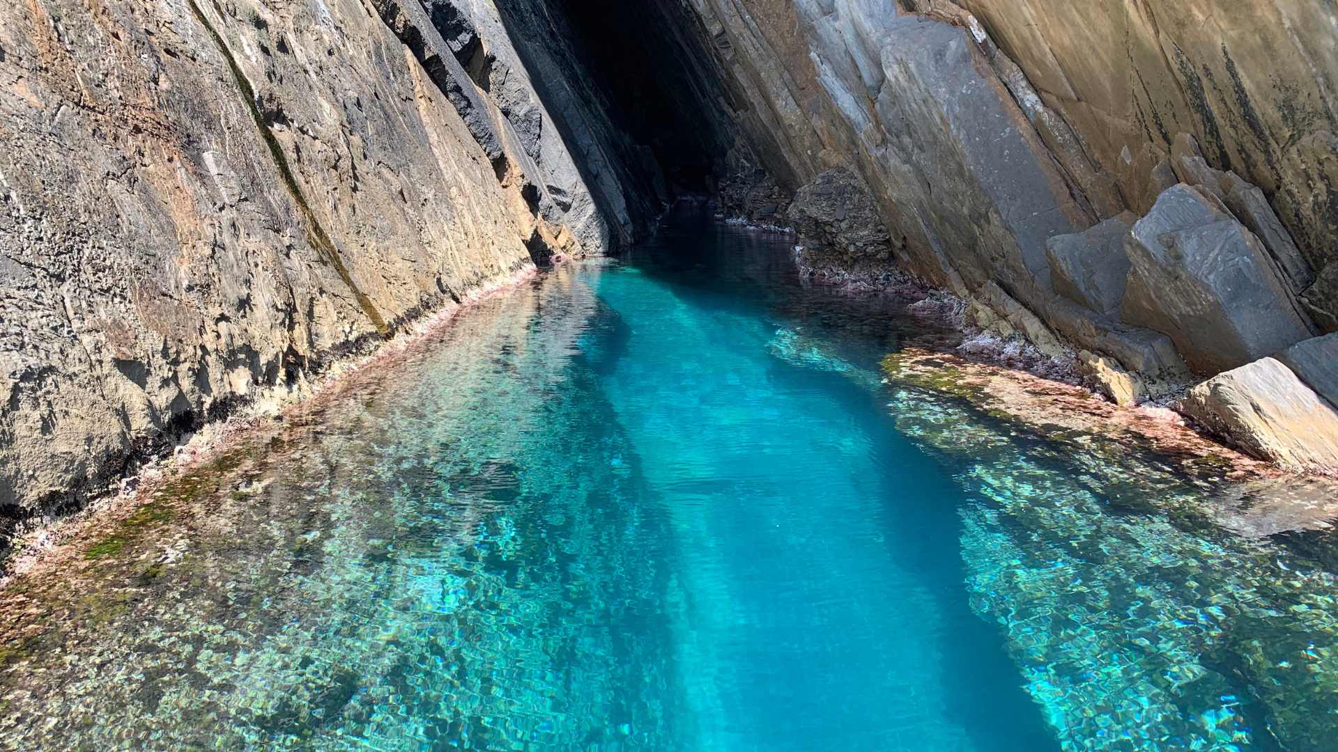 From Buggerru: dinghy tour to Pan di Zucchero and Porto Flavia - Photo 15