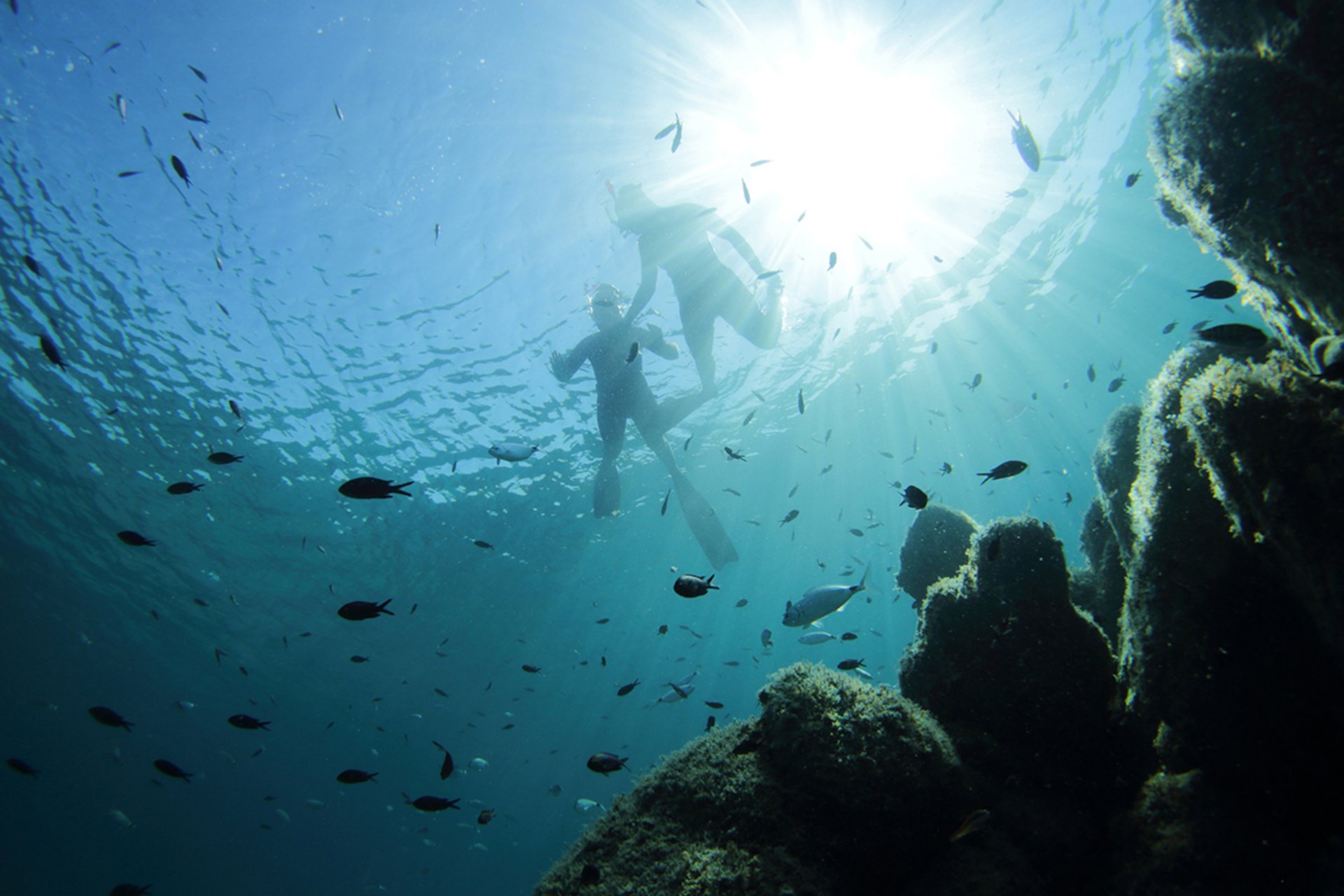 From San Teodoro: diving for professionals in Tavolara and Molara - Photo 9