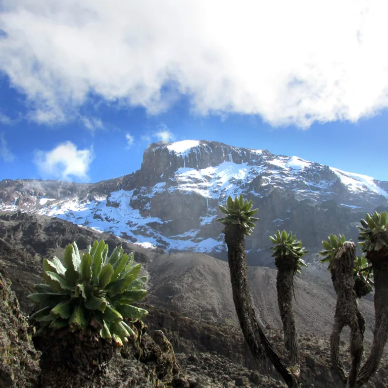 Barafu Camp to Mweka Camp 1